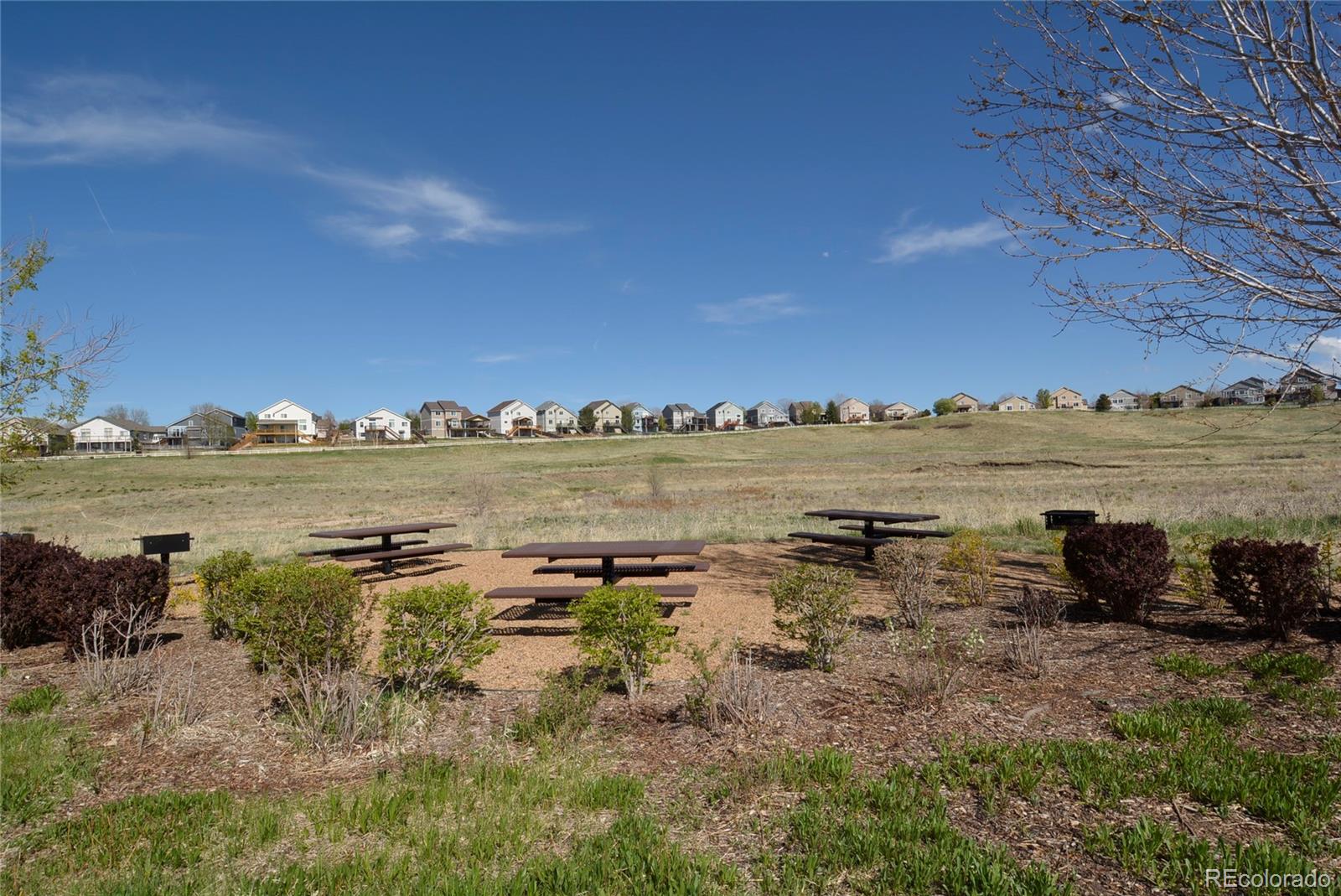 MLS Image #26 for 15460  canyon gulch lane,englewood, Colorado