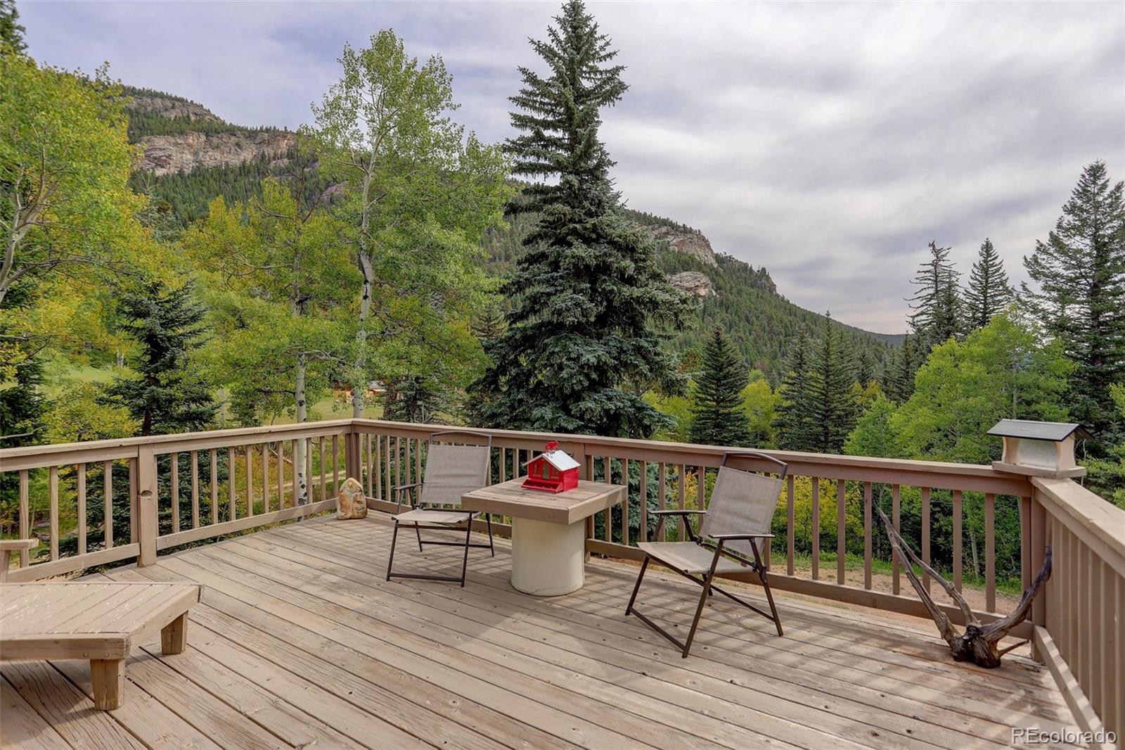 MLS Image #11 for 3241  witter gulch road,evergreen, Colorado