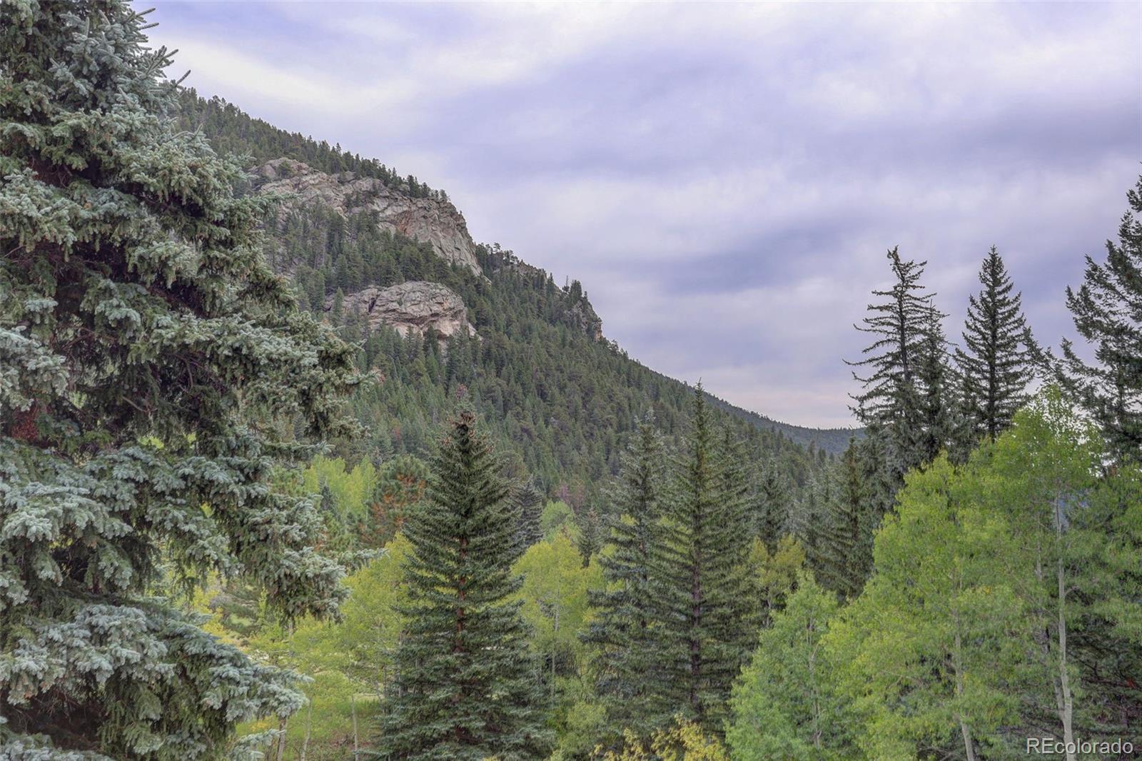 MLS Image #12 for 3241  witter gulch road,evergreen, Colorado