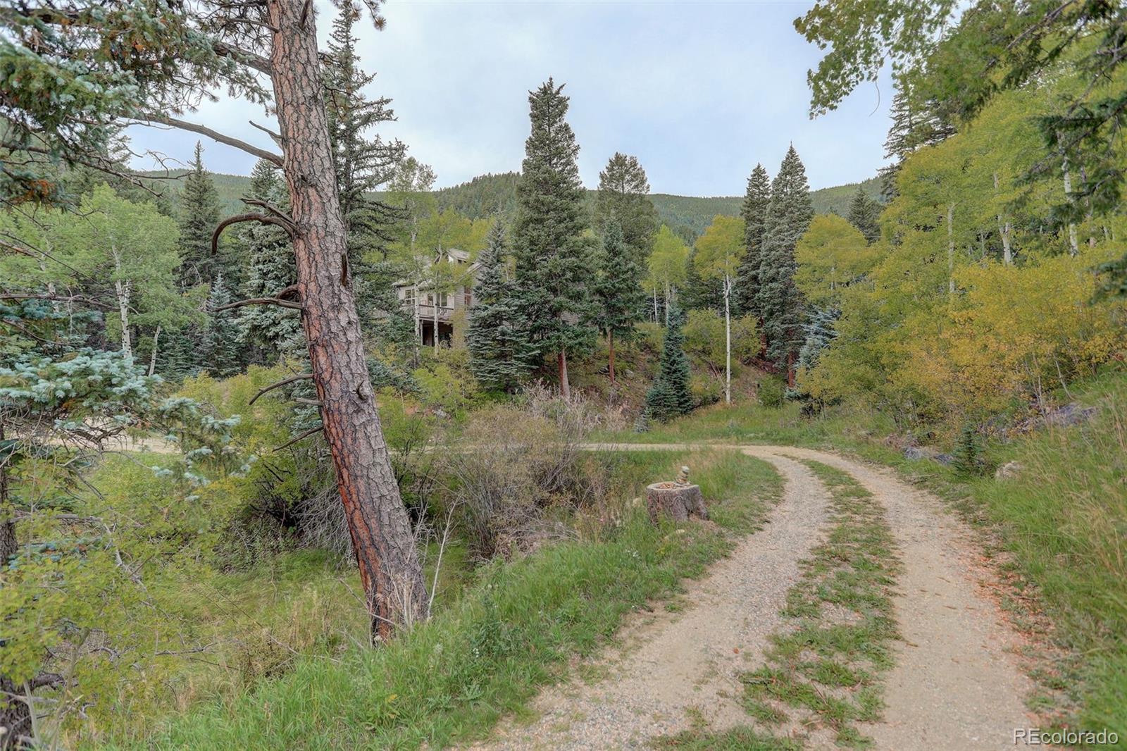 MLS Image #33 for 3241  witter gulch road,evergreen, Colorado