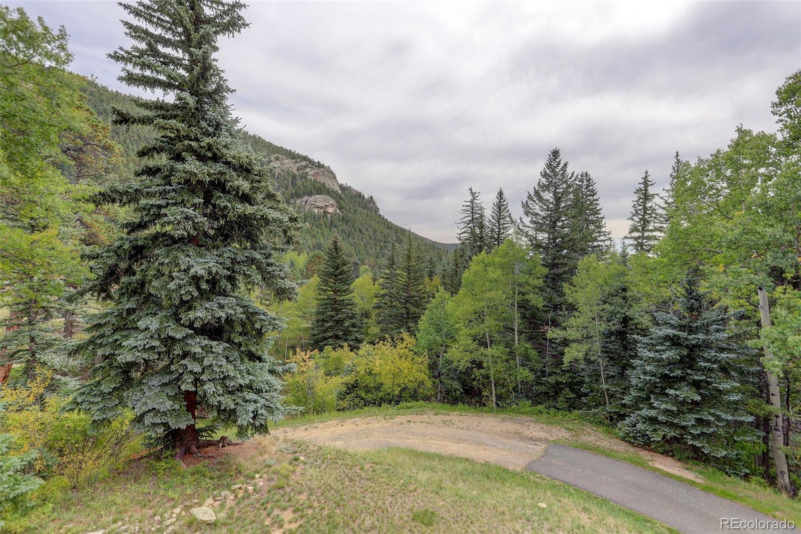 MLS Image #34 for 3241  witter gulch road,evergreen, Colorado