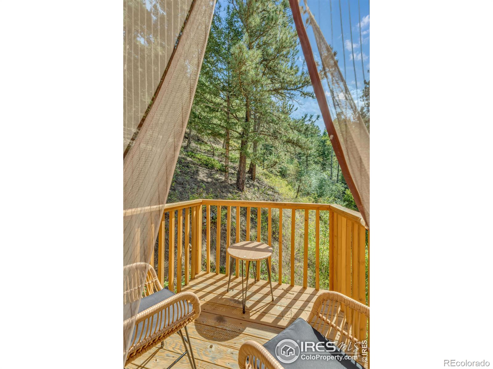 MLS Image #17 for 266  glendale gulch road,jamestown, Colorado