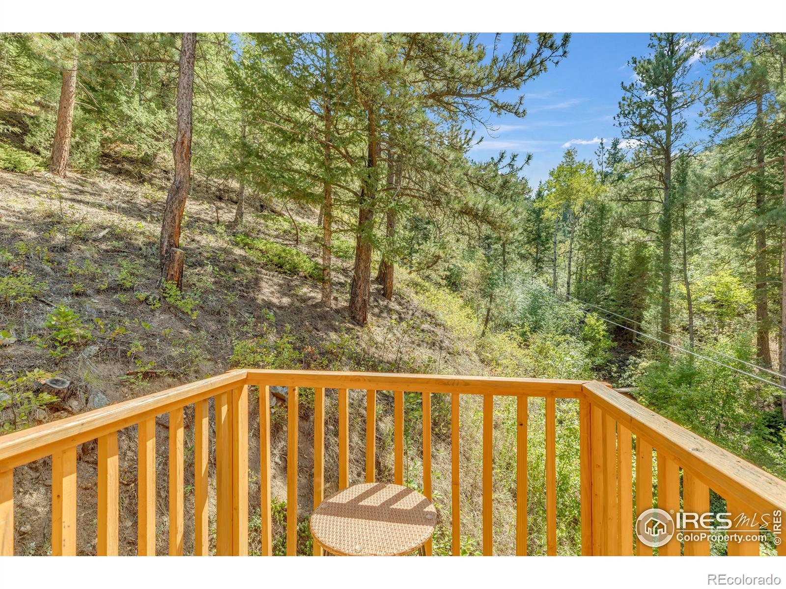 MLS Image #18 for 266  glendale gulch road,jamestown, Colorado