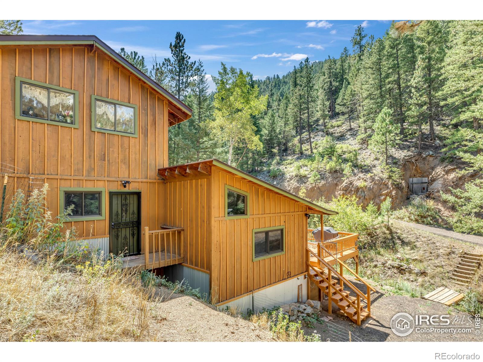 MLS Image #23 for 266  glendale gulch road,jamestown, Colorado