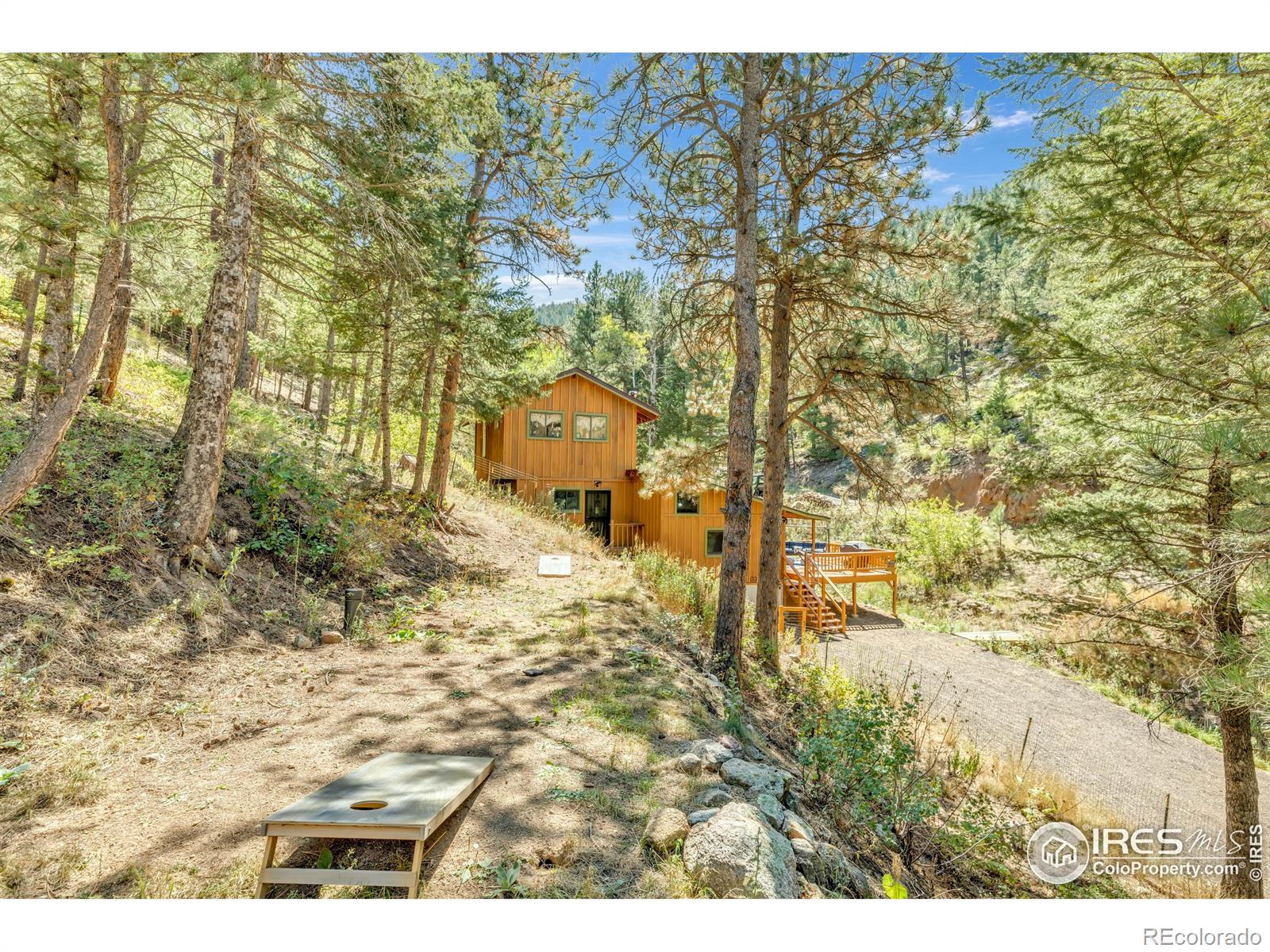 MLS Image #24 for 266  glendale gulch road,jamestown, Colorado