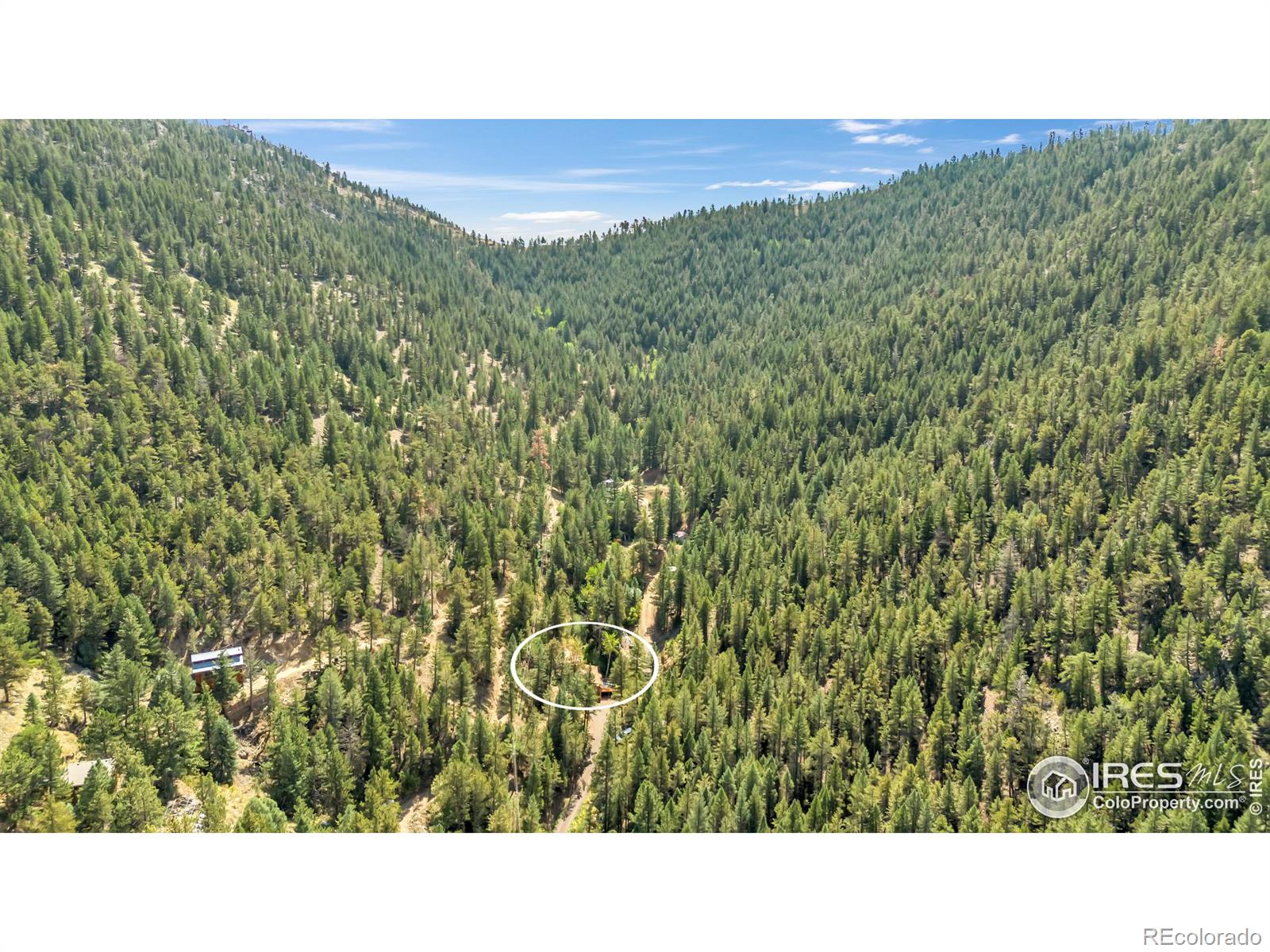 MLS Image #27 for 266  glendale gulch road,jamestown, Colorado