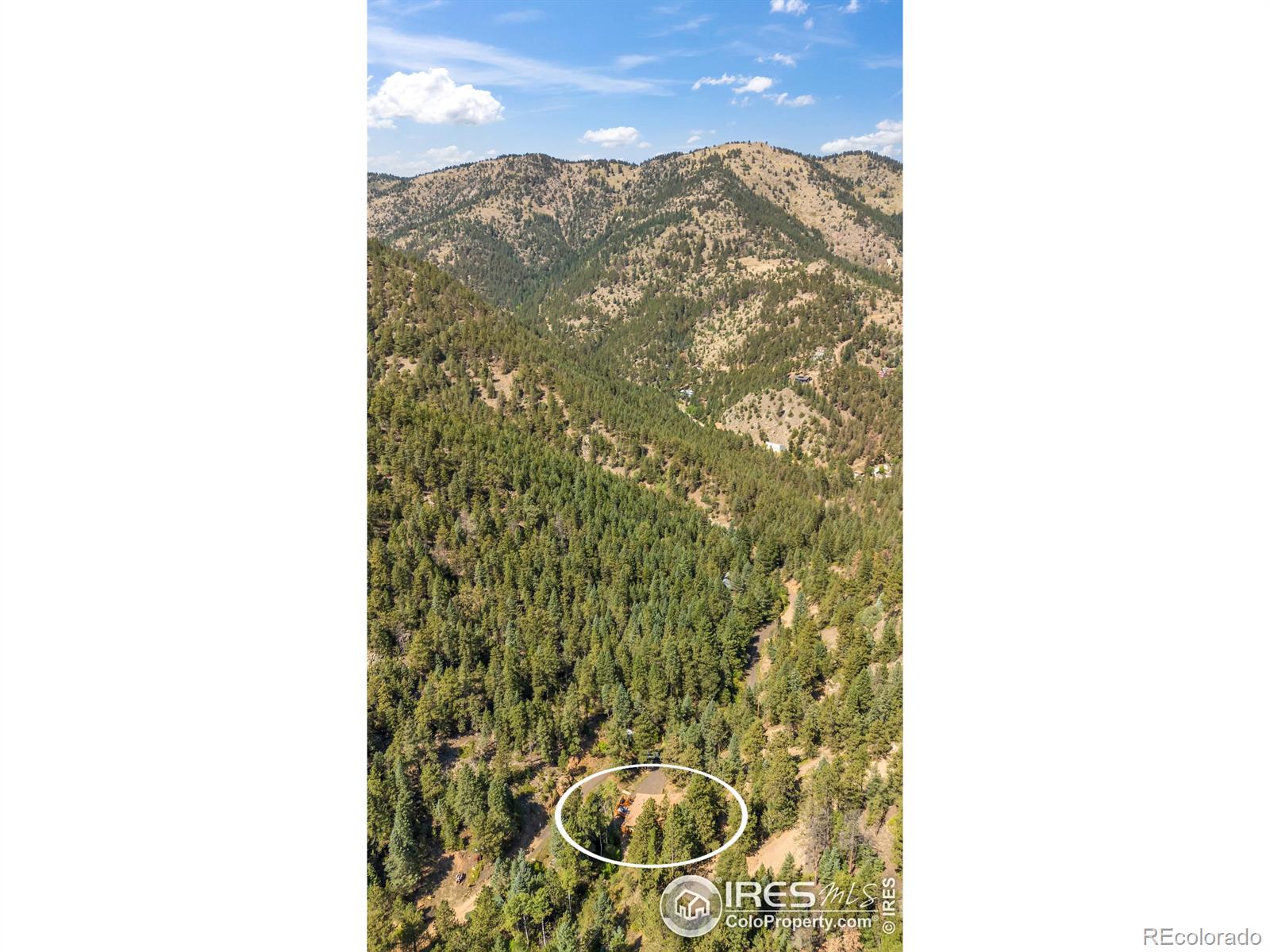 MLS Image #28 for 266  glendale gulch road,jamestown, Colorado