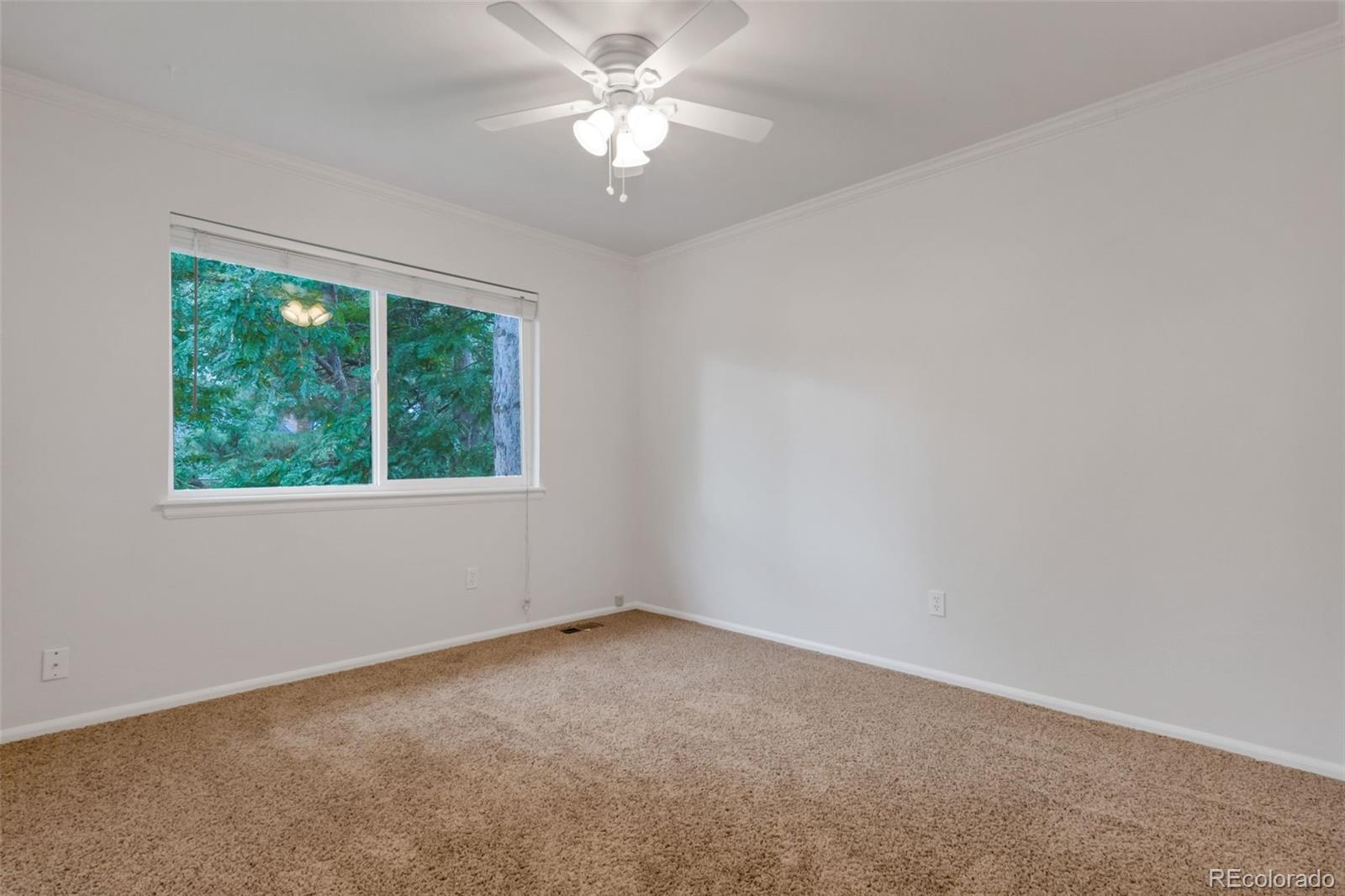 MLS Image #25 for 8243 s jackson street,centennial, Colorado