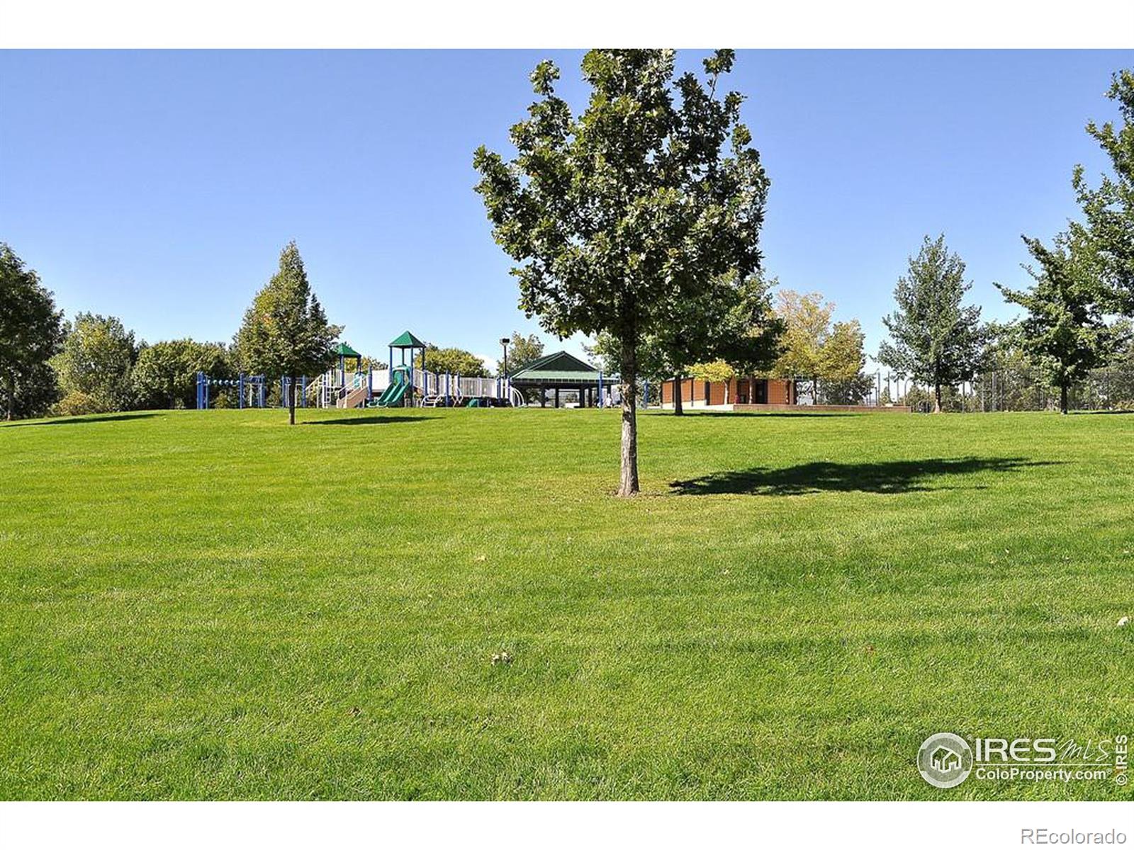 MLS Image #5 for 4124  manhattan avenue,fort collins, Colorado