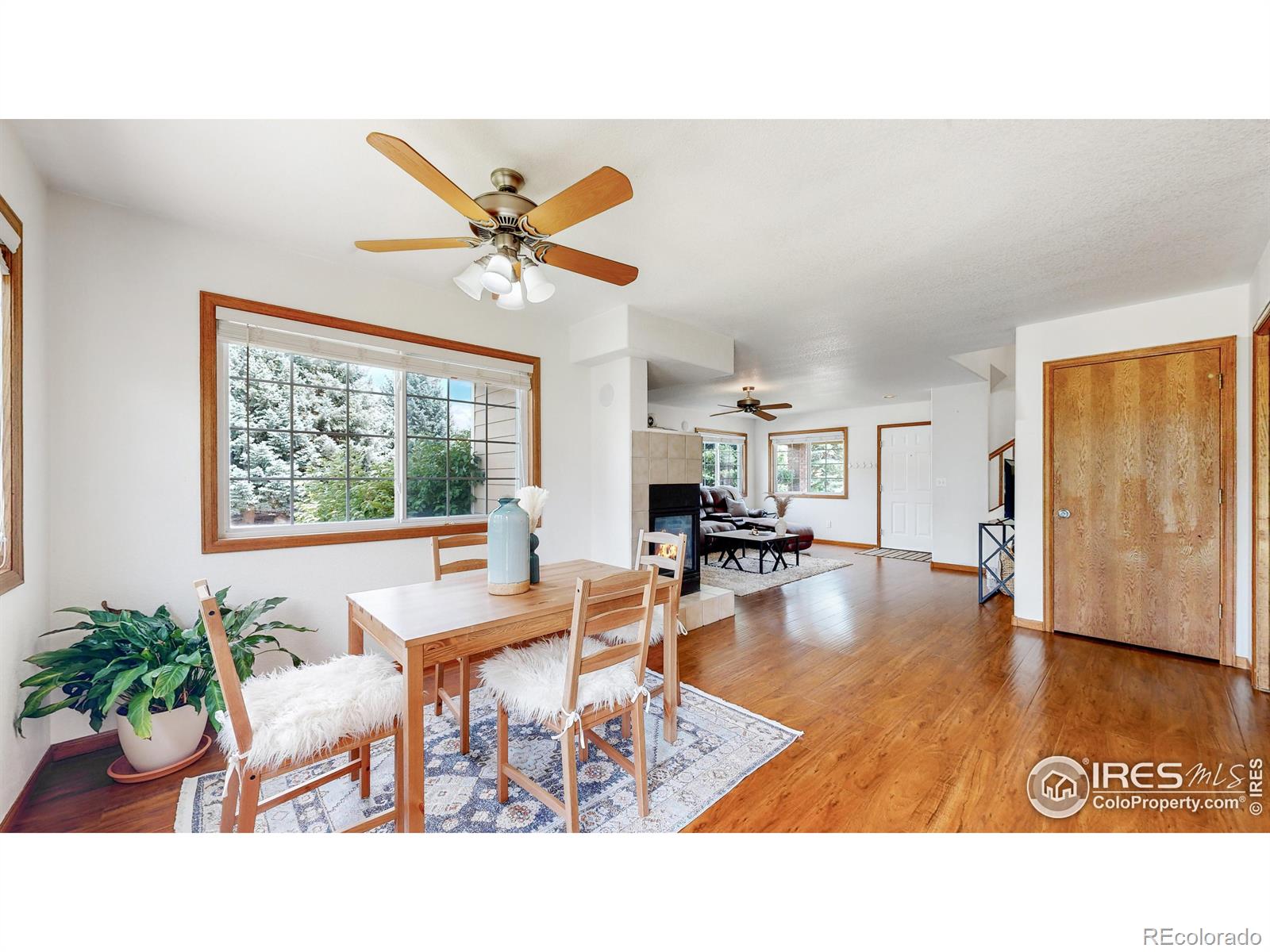 MLS Image #10 for 409  marcellina drive,loveland, Colorado