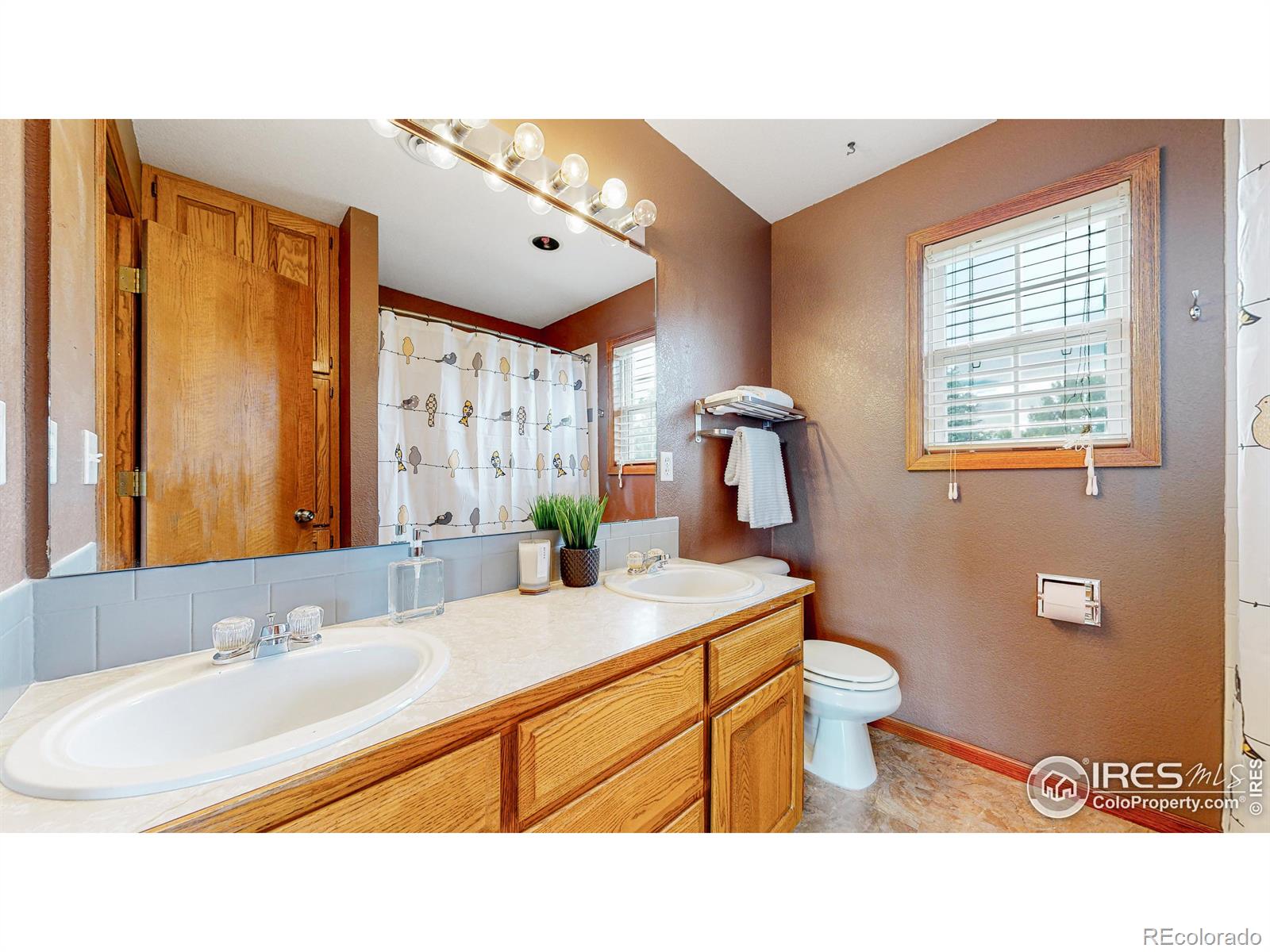 MLS Image #21 for 409  marcellina drive,loveland, Colorado