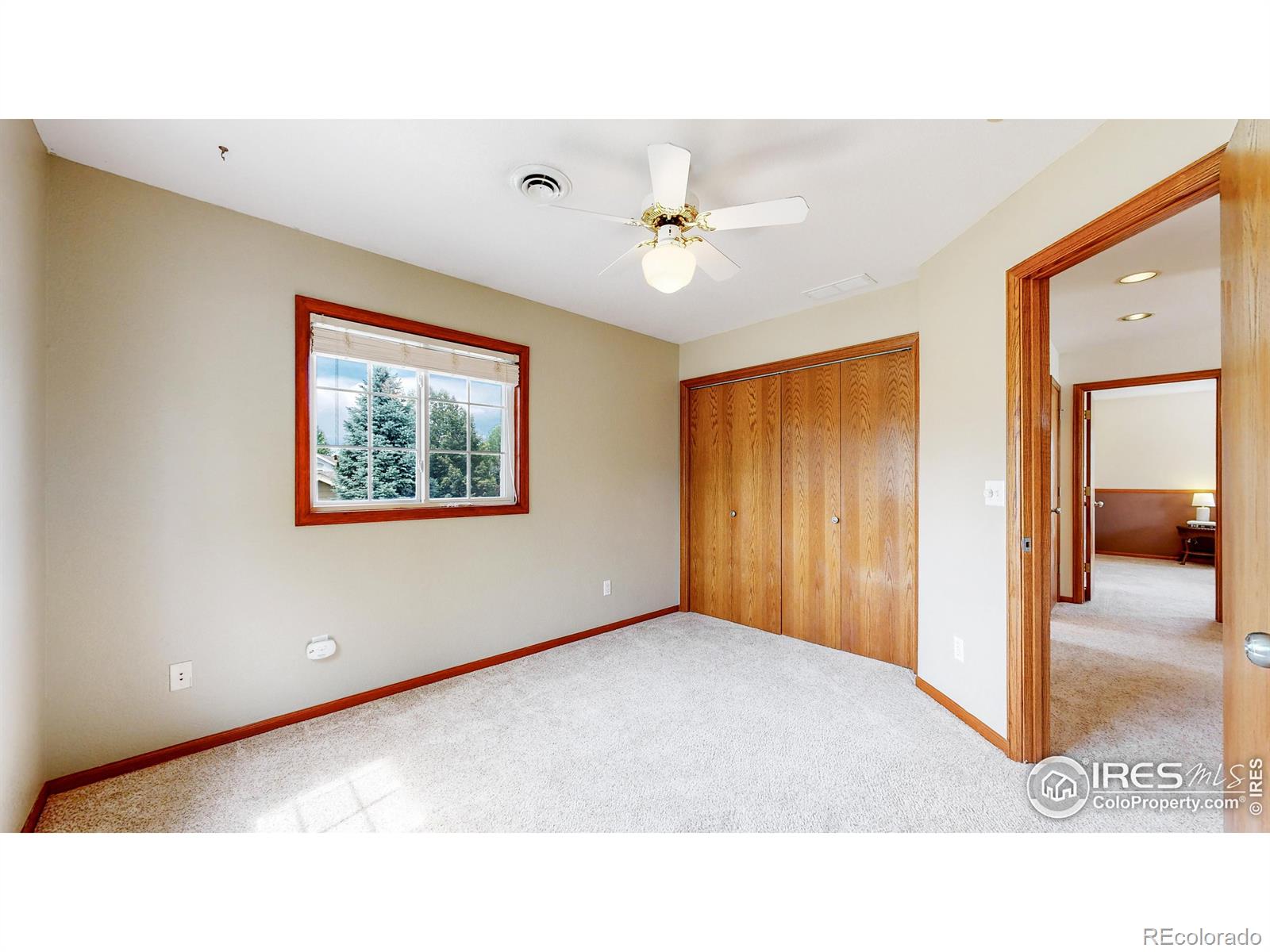 MLS Image #26 for 409  marcellina drive,loveland, Colorado