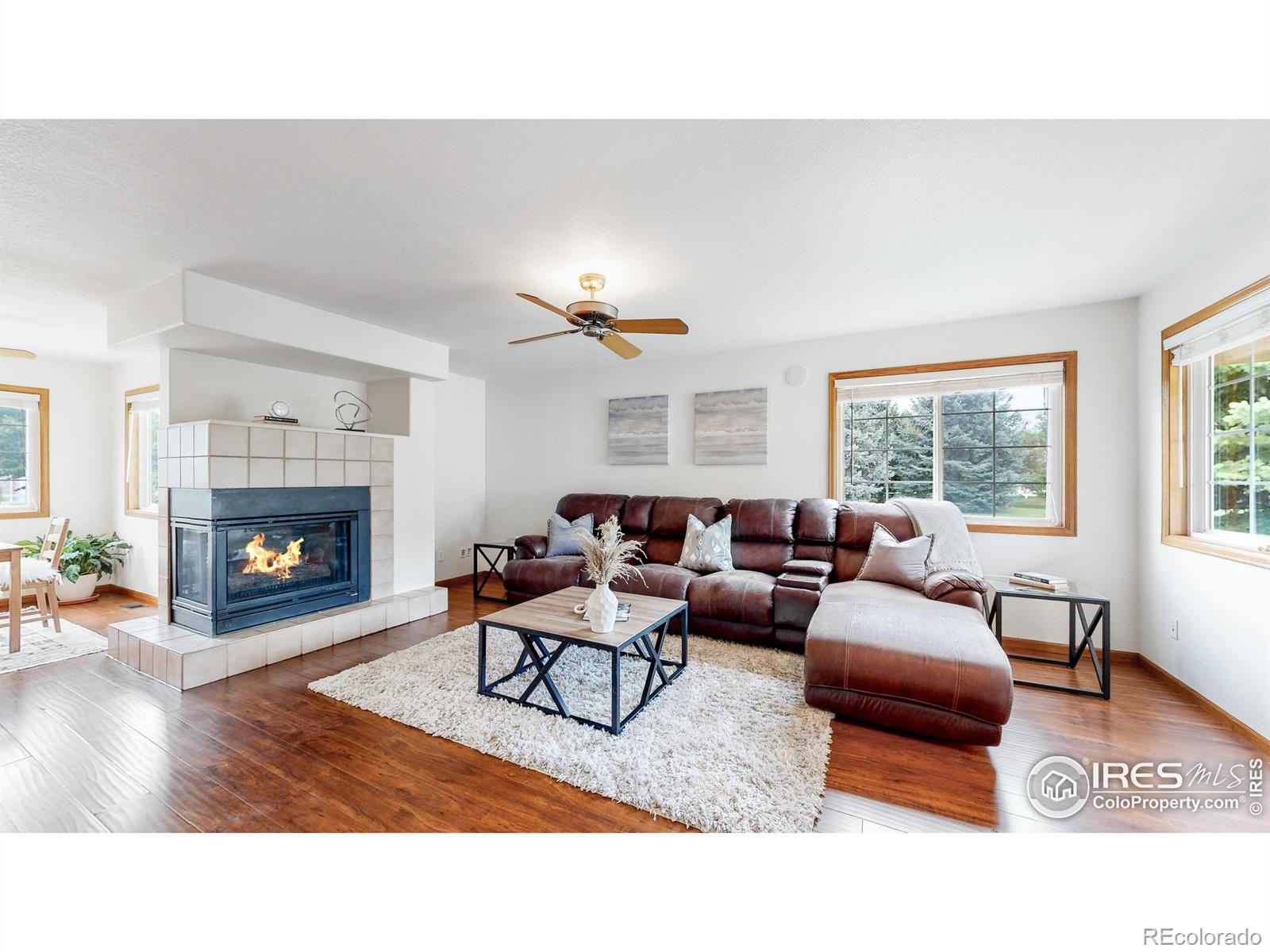 MLS Image #9 for 409  marcellina drive,loveland, Colorado