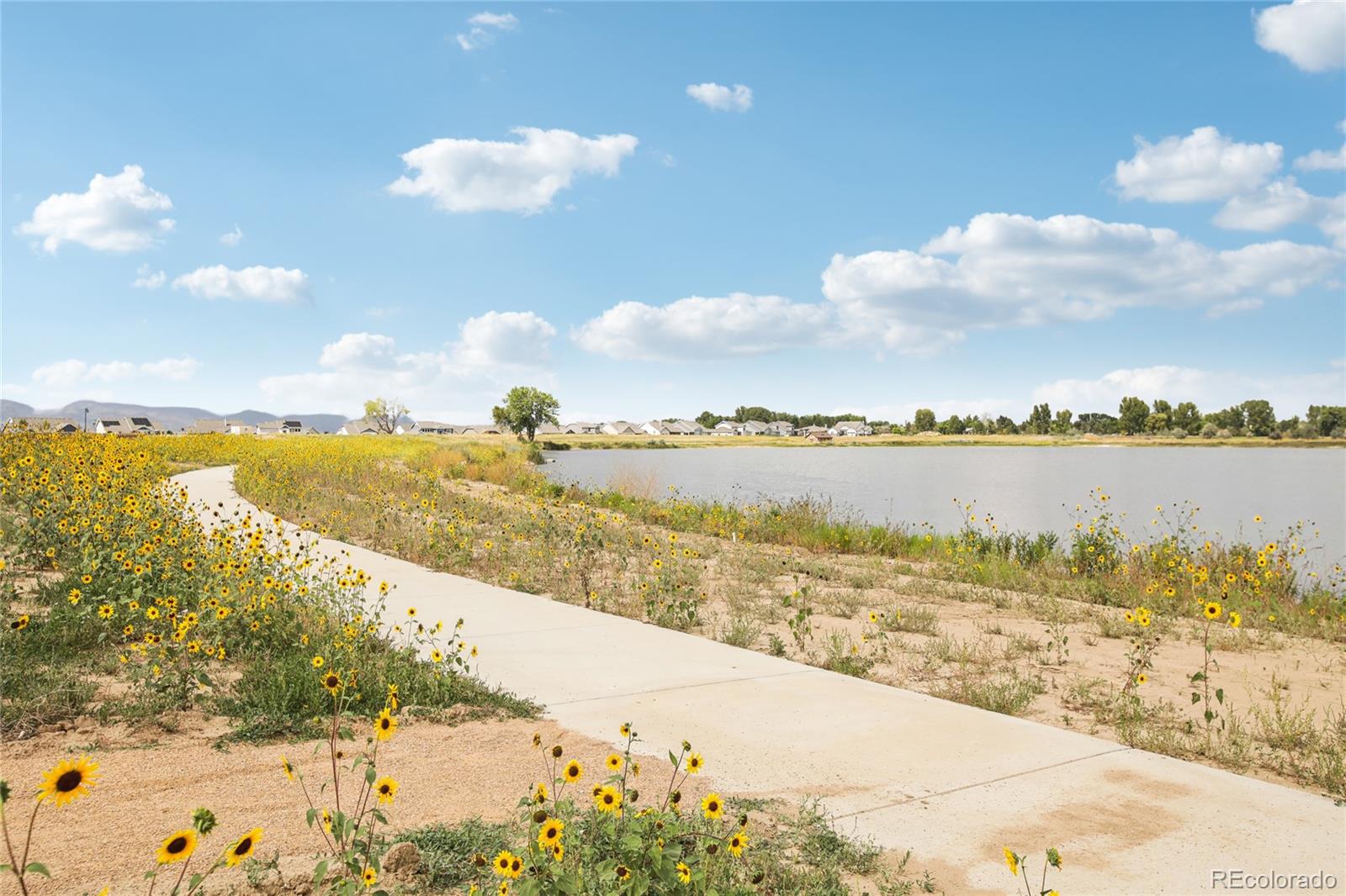 MLS Image #48 for 5240  kellan court,timnath, Colorado