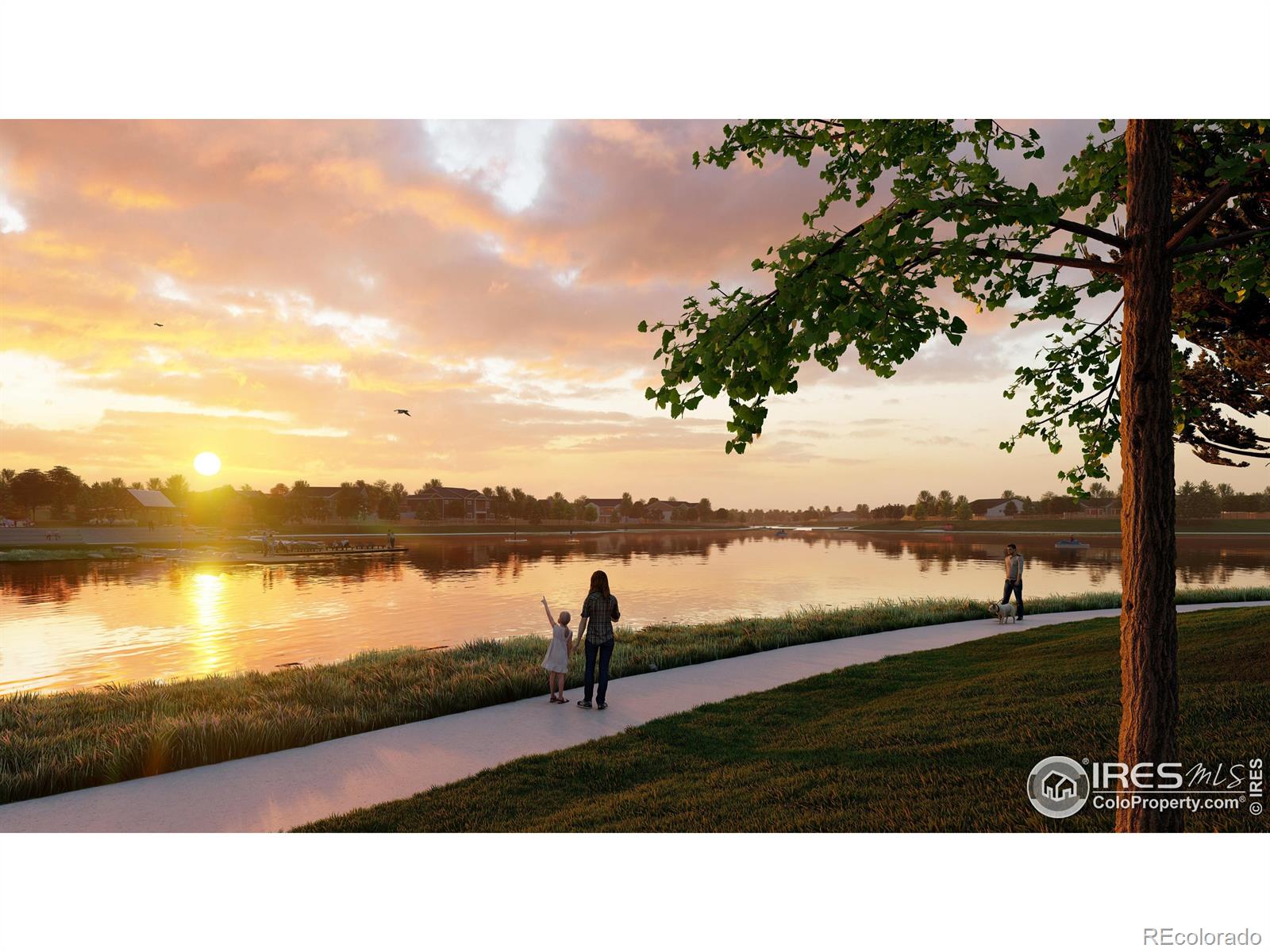 MLS Image #20 for 4154  strolling street,timnath, Colorado