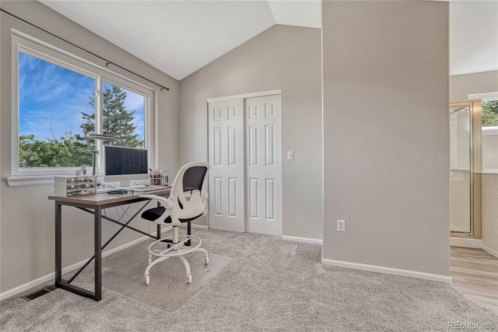 MLS Image #19 for 4952 n silverlace drive,castle rock, Colorado