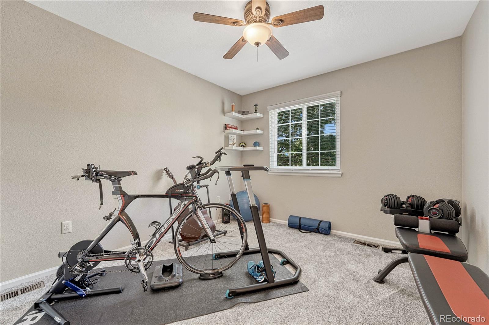 MLS Image #25 for 4952 n silverlace drive,castle rock, Colorado