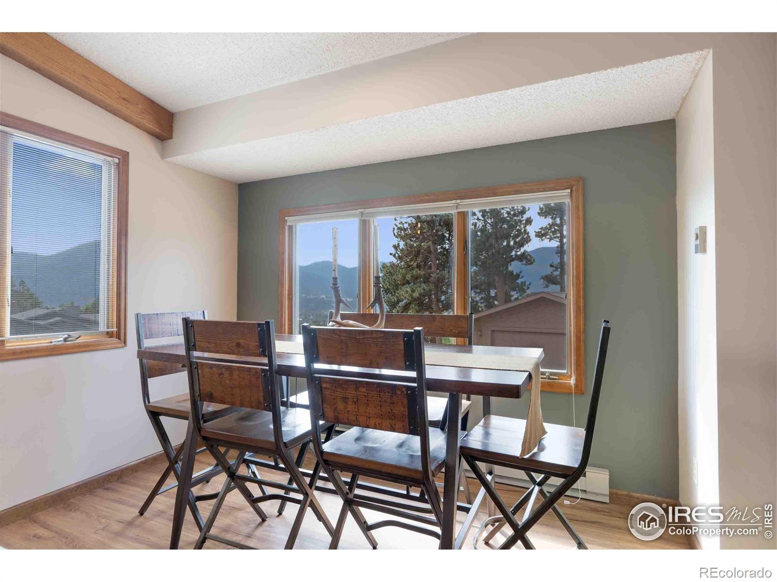 MLS Image #9 for 470  marcus lane,estes park, Colorado