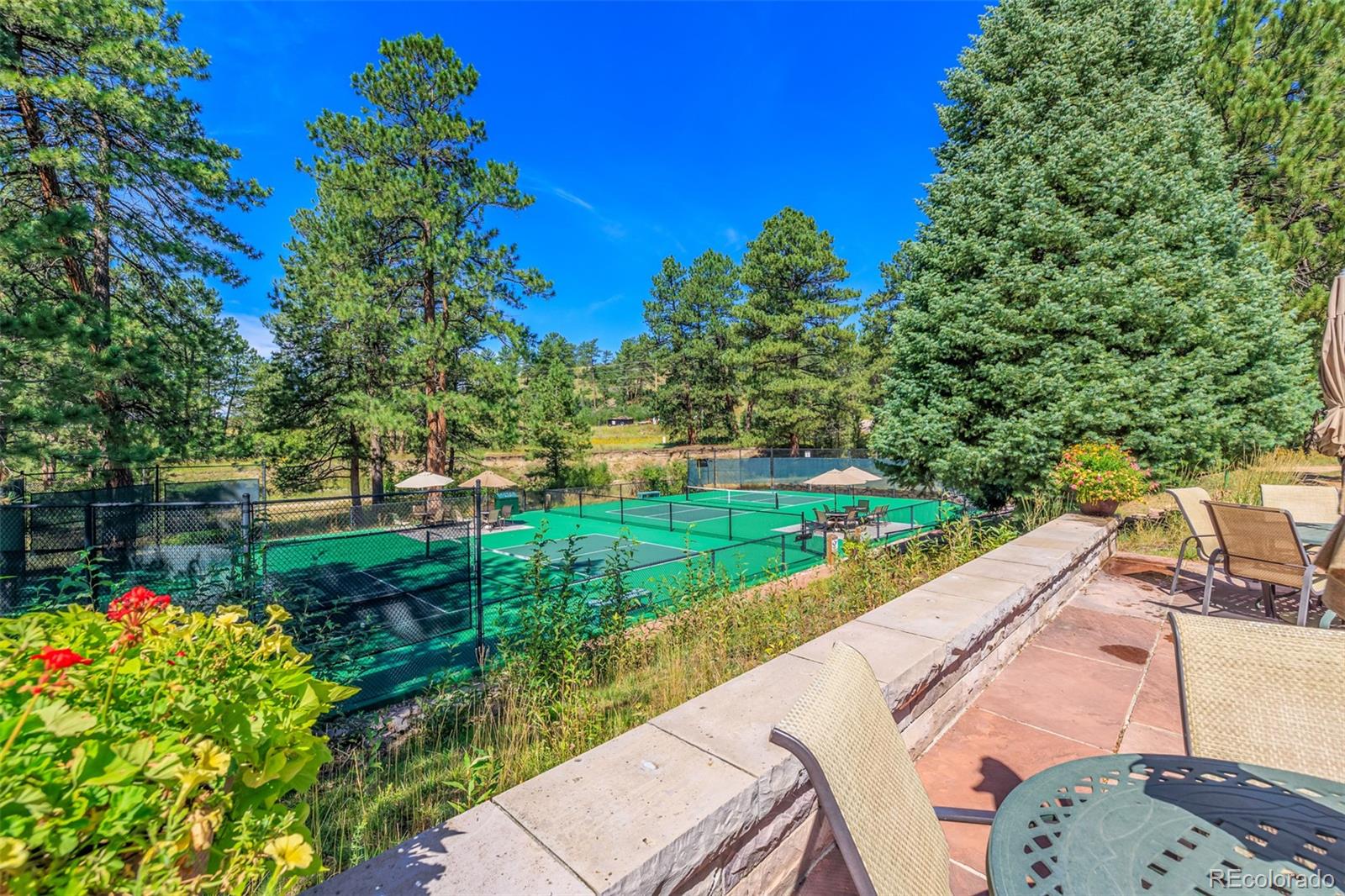 MLS Image #46 for 8034  golden bear lane,castle rock, Colorado