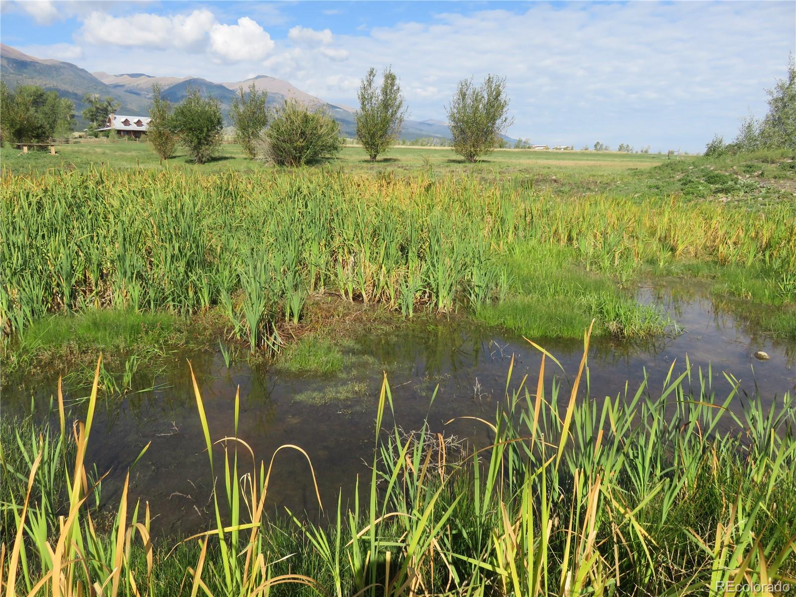 MLS Image #21 for 780  coronado road,westcliffe, Colorado