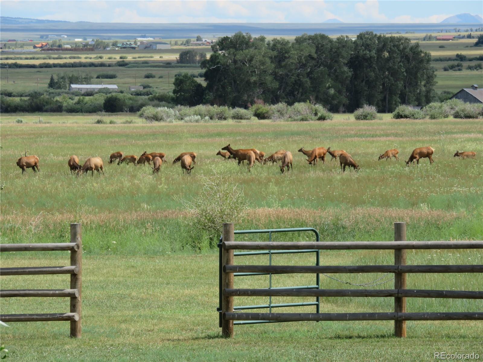 MLS Image #22 for 780  coronado road,westcliffe, Colorado