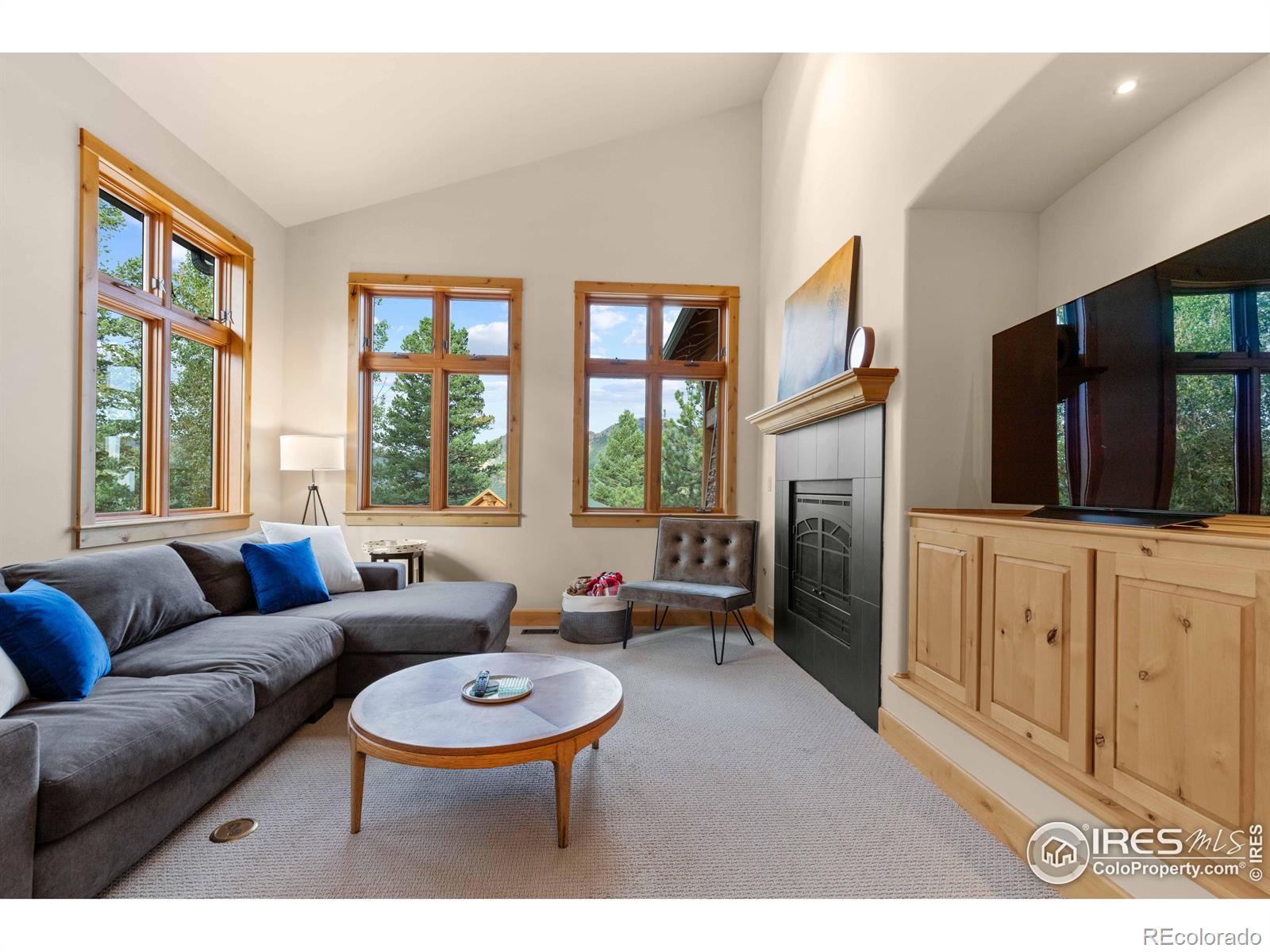 MLS Image #17 for 78  pika road,boulder, Colorado