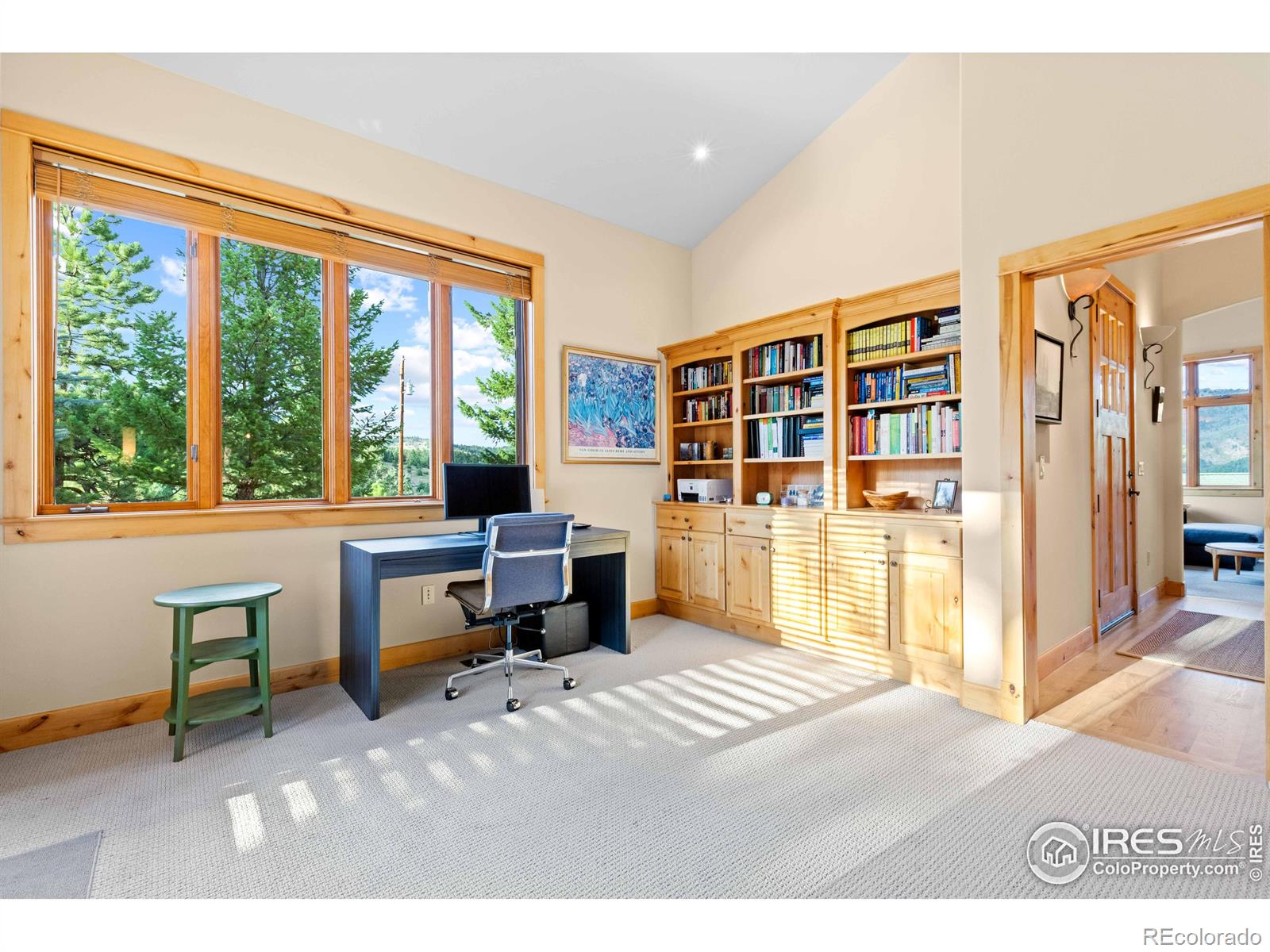 MLS Image #18 for 78  pika road,boulder, Colorado