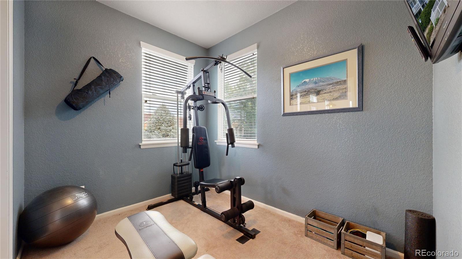 MLS Image #14 for 2067  grays peak drive,loveland, Colorado