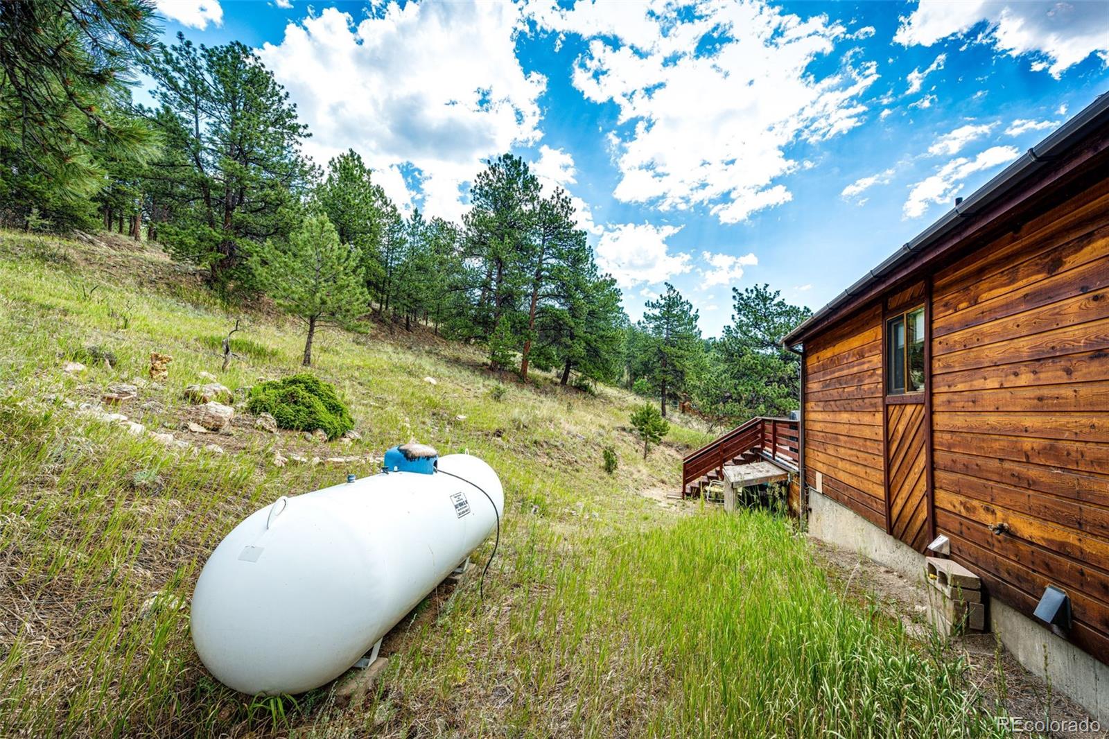 MLS Image #43 for 1047  sleepy hollow drive,bailey, Colorado