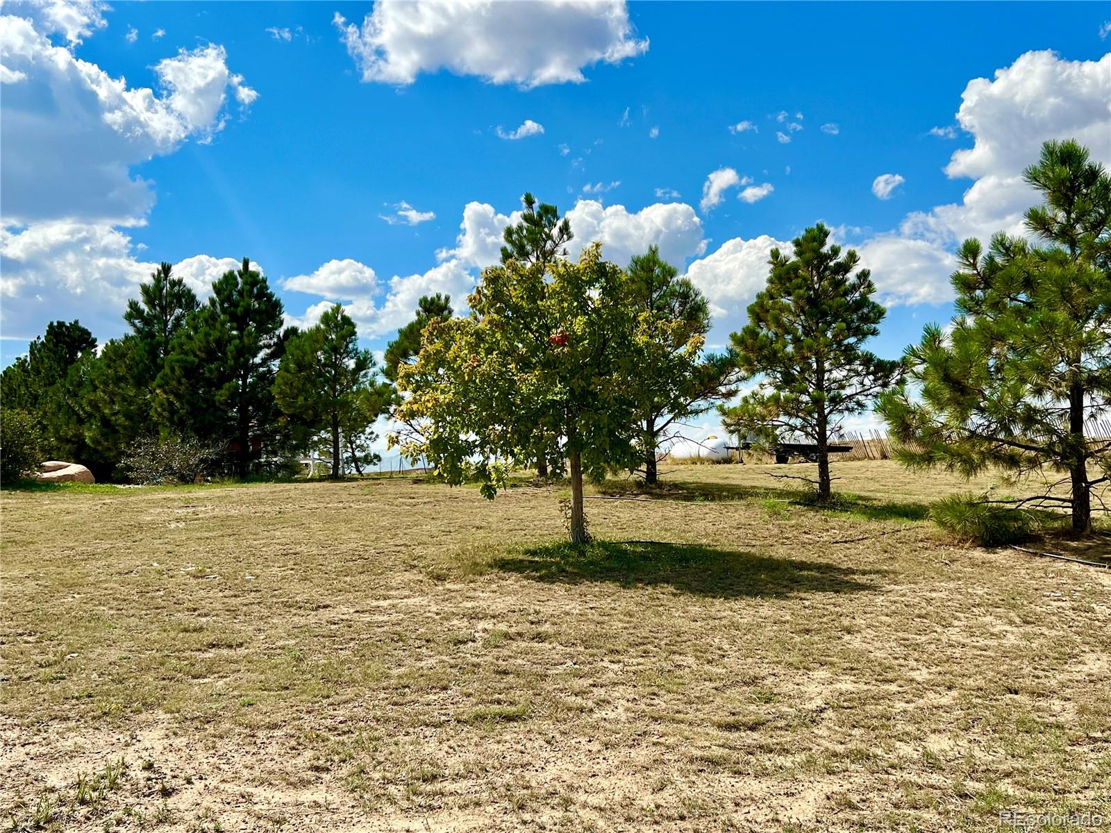 MLS Image #13 for 19025  county road 113 ,ramah, Colorado