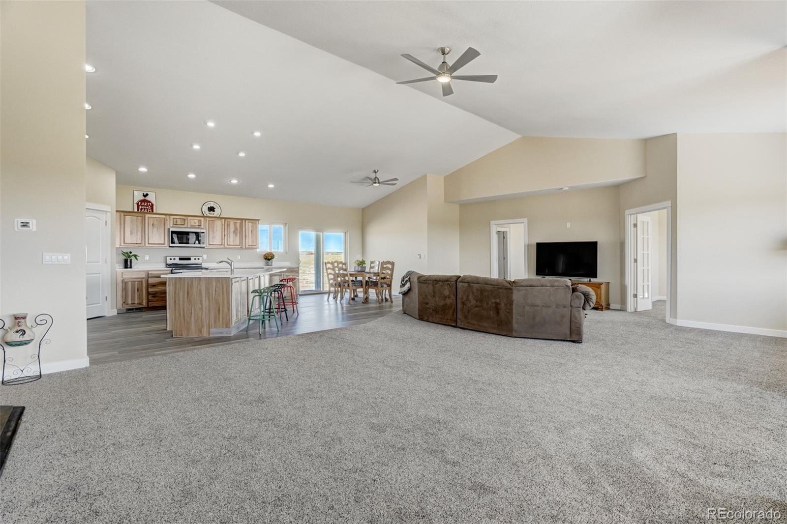 MLS Image #3 for 41095  alta vista road,ramah, Colorado