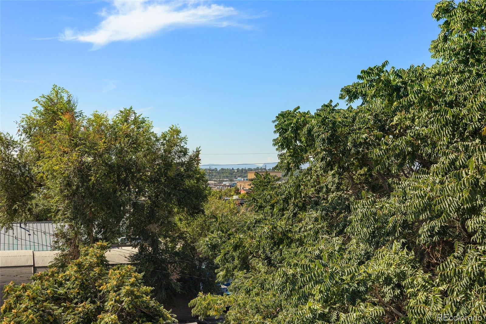 MLS Image #17 for 542  kalamath street,denver, Colorado