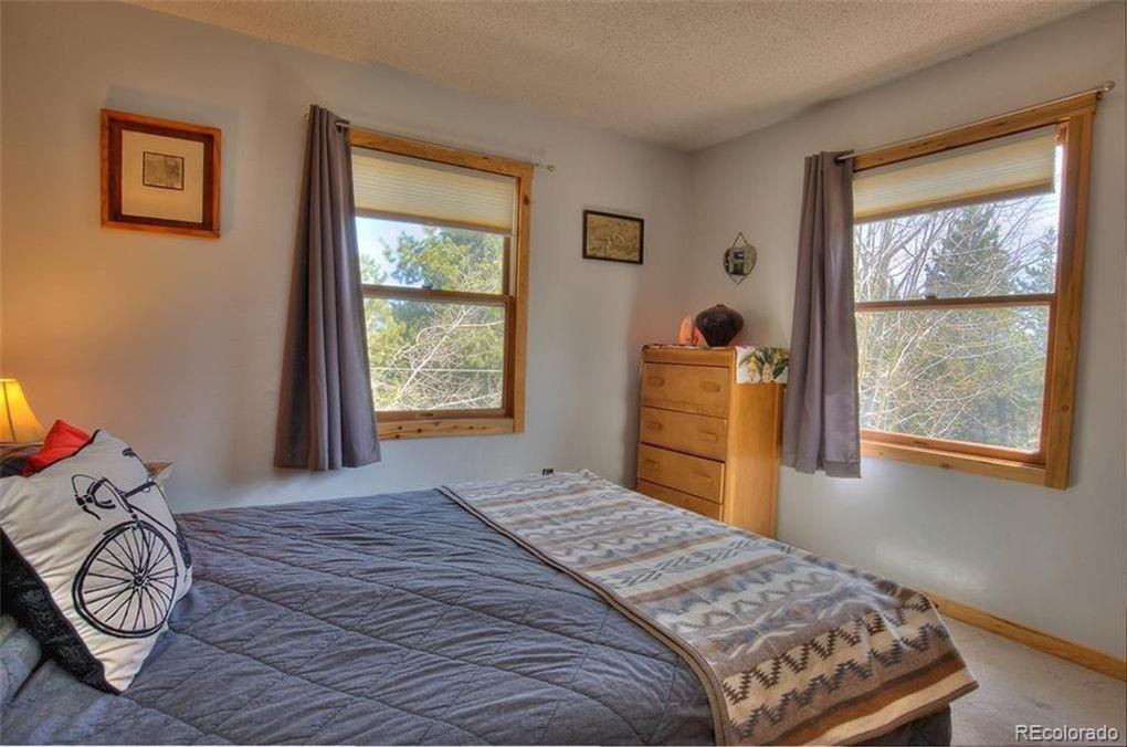 MLS Image #12 for 166  b road,silverthorne, Colorado