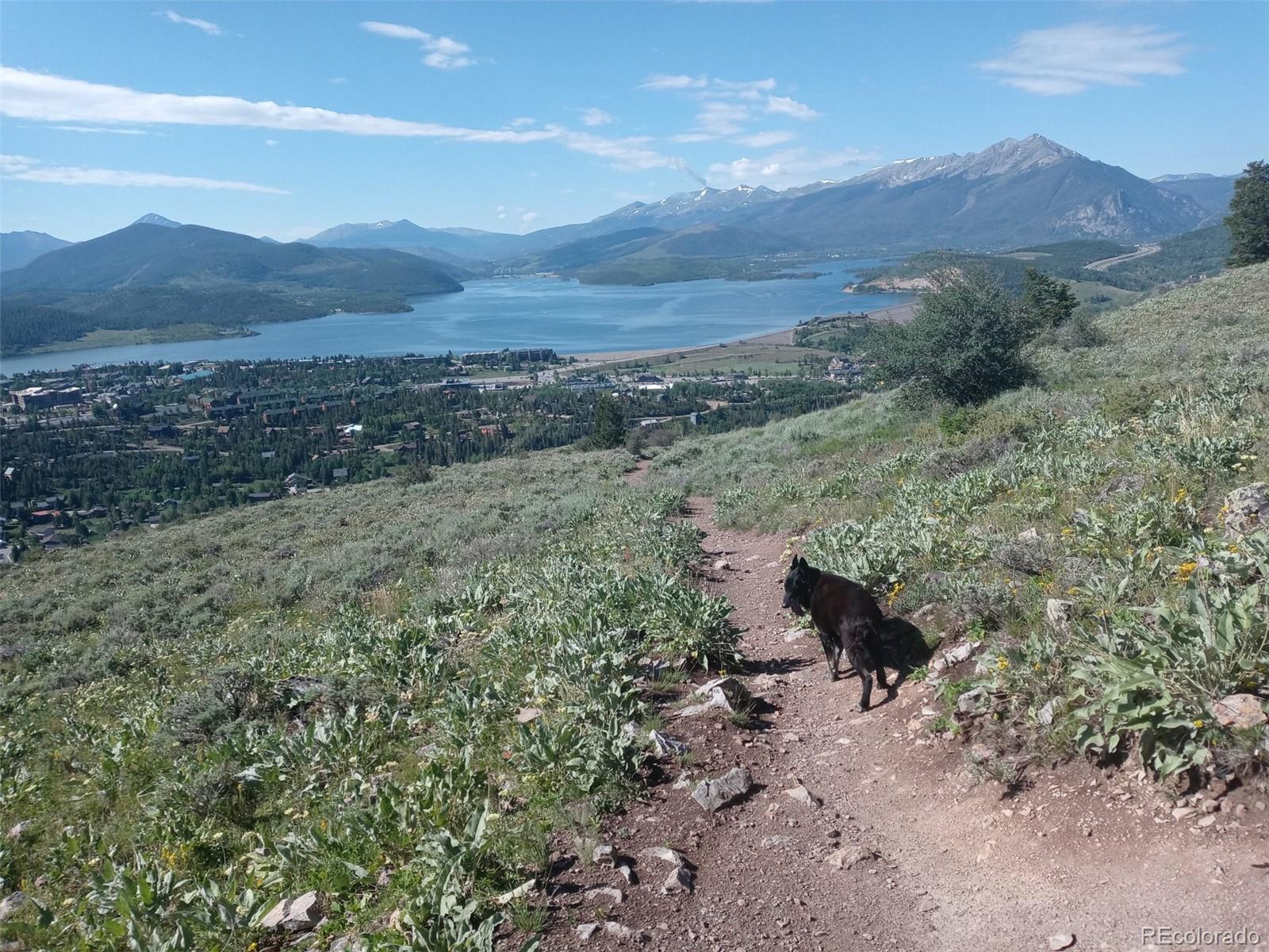 MLS Image #21 for 166  b road,silverthorne, Colorado