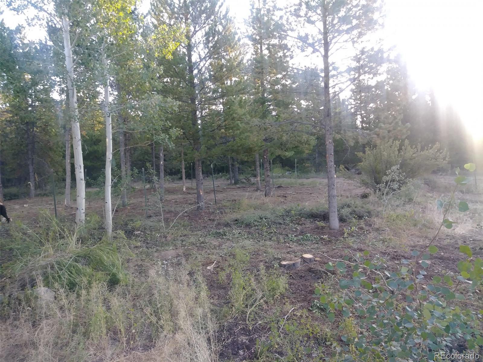 MLS Image #3 for 166  b road,silverthorne, Colorado