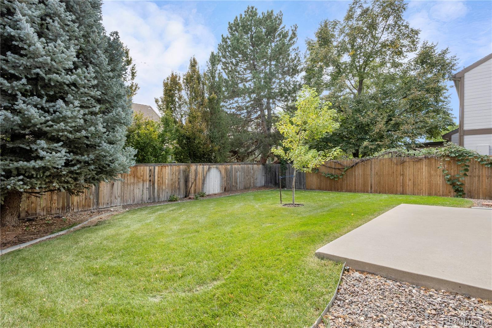 MLS Image #35 for 8832  sundrop way,highlands ranch, Colorado