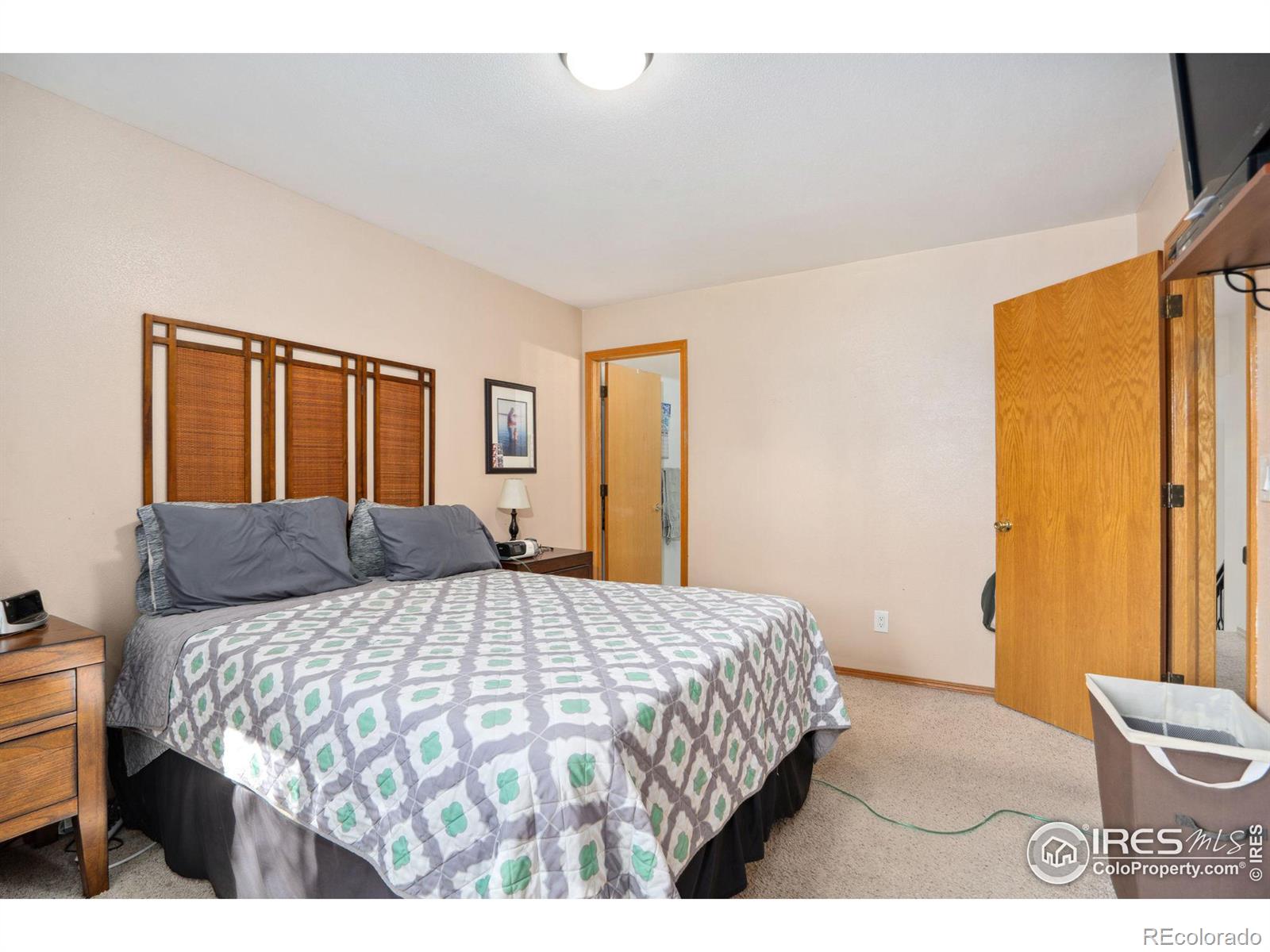 MLS Image #19 for 1412  sugarpine street,fort collins, Colorado