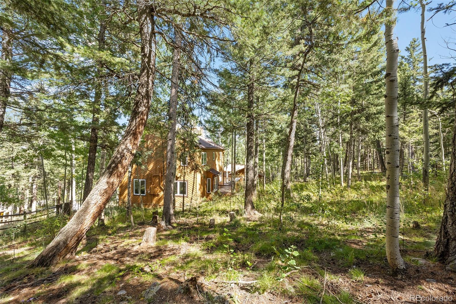 MLS Image #40 for 29842  marys drive,conifer, Colorado