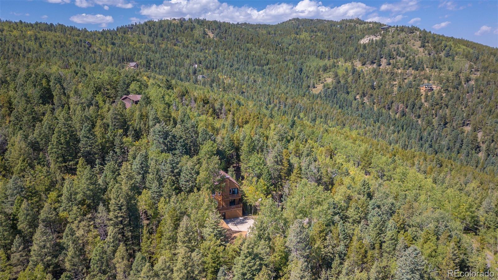 MLS Image #42 for 29842  marys drive,conifer, Colorado