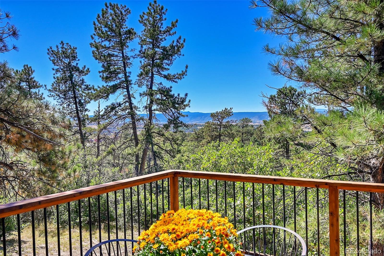 MLS Image #37 for 4383 n canyon lane,castle rock, Colorado