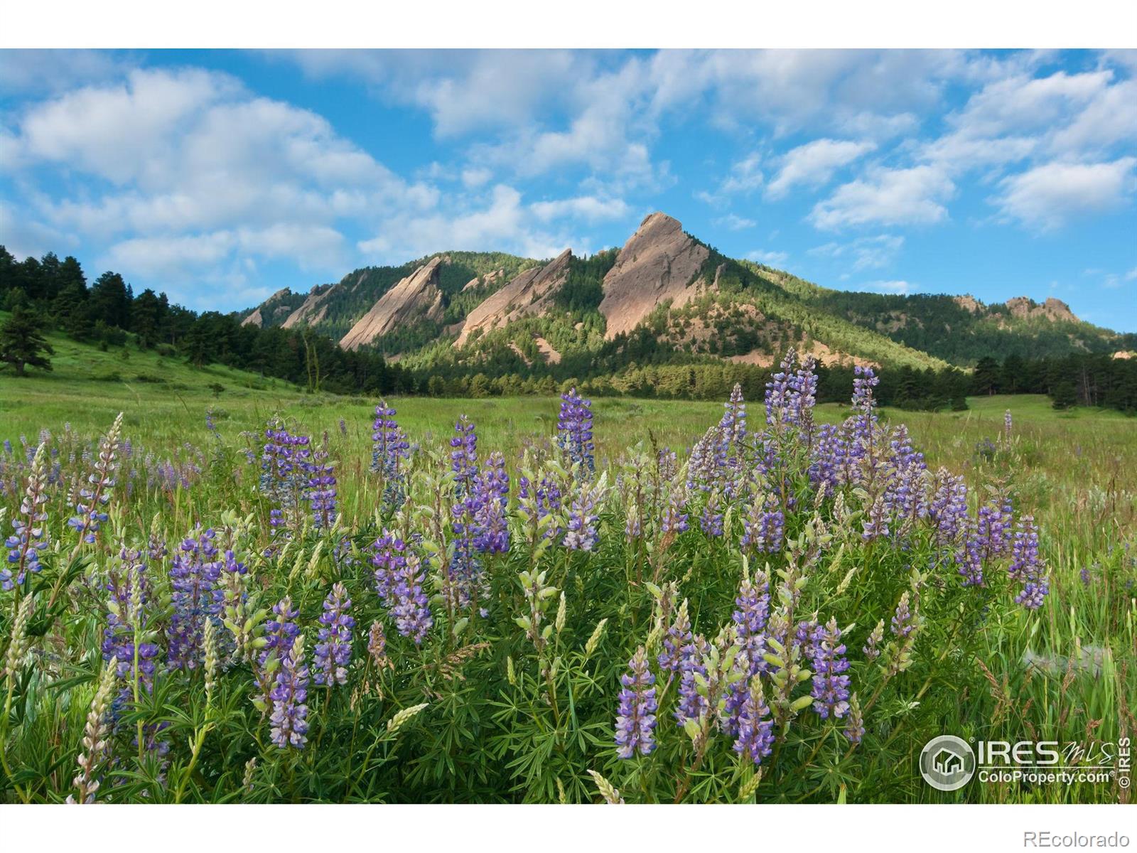 MLS Image #18 for 1430  18th street,boulder, Colorado