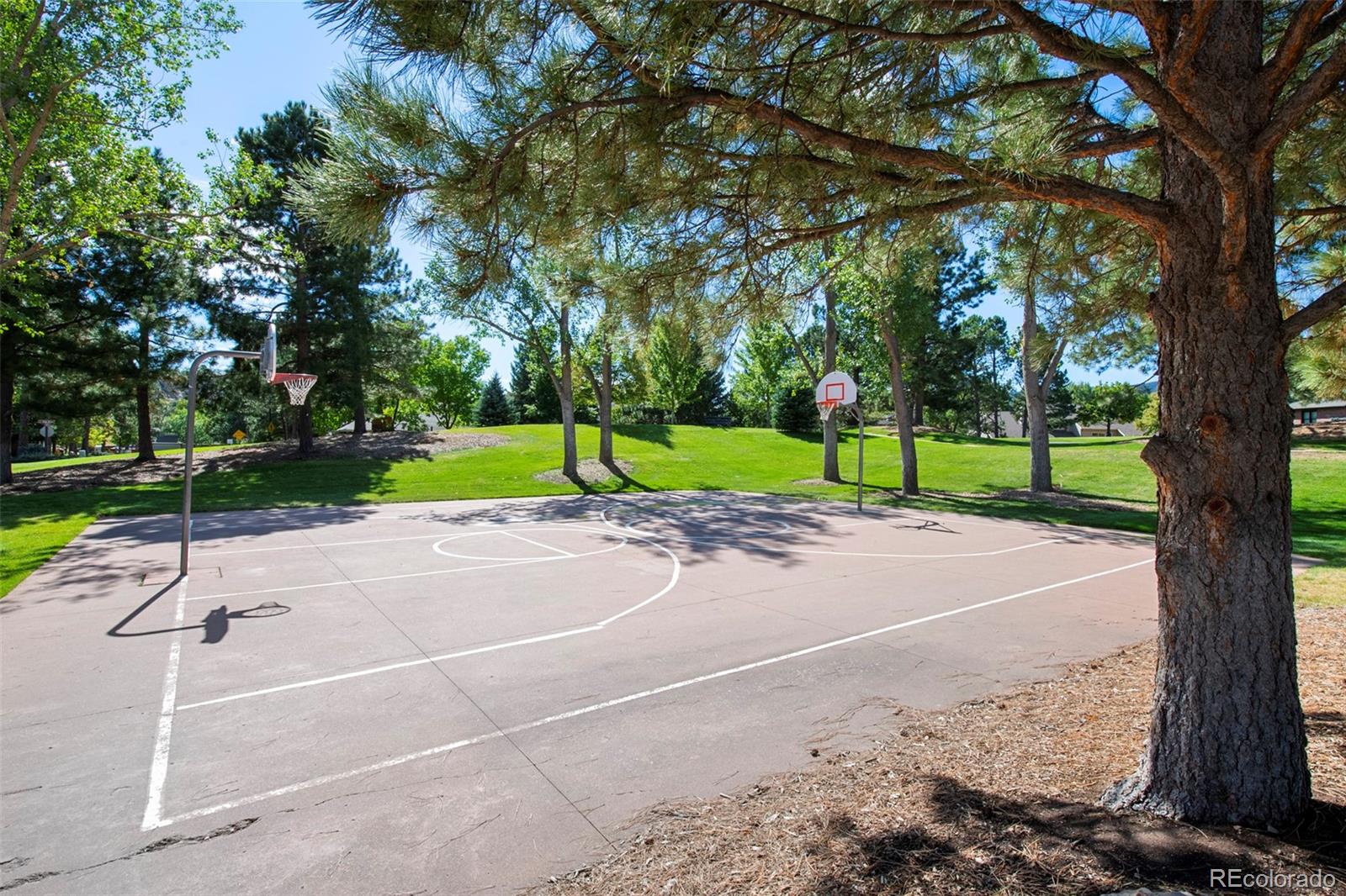 MLS Image #42 for 20  mesa oak ,littleton, Colorado