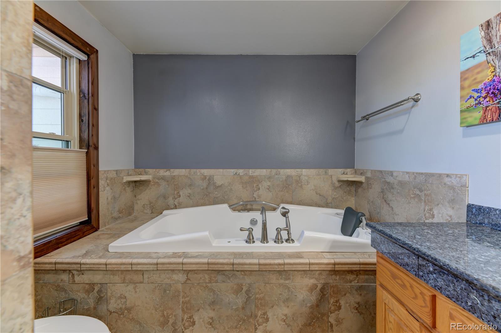 MLS Image #14 for 4048  bear canyon circle,sedalia, Colorado