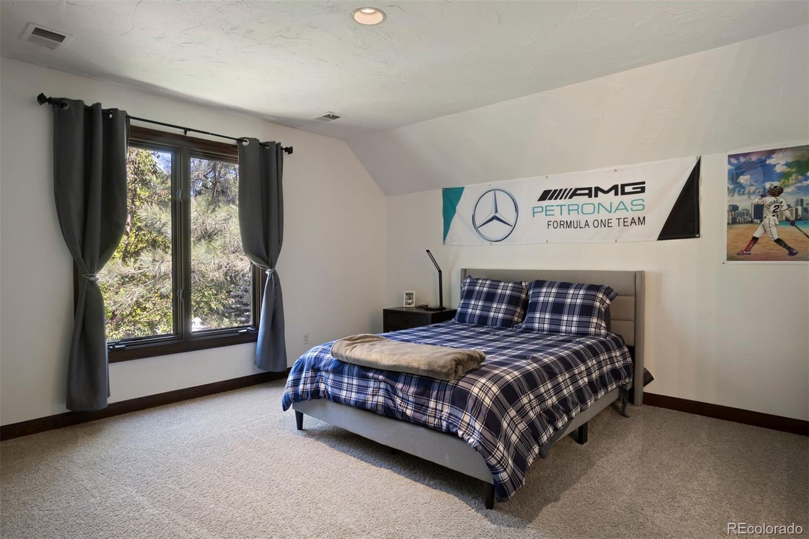 MLS Image #32 for 16  polo field lane,denver, Colorado