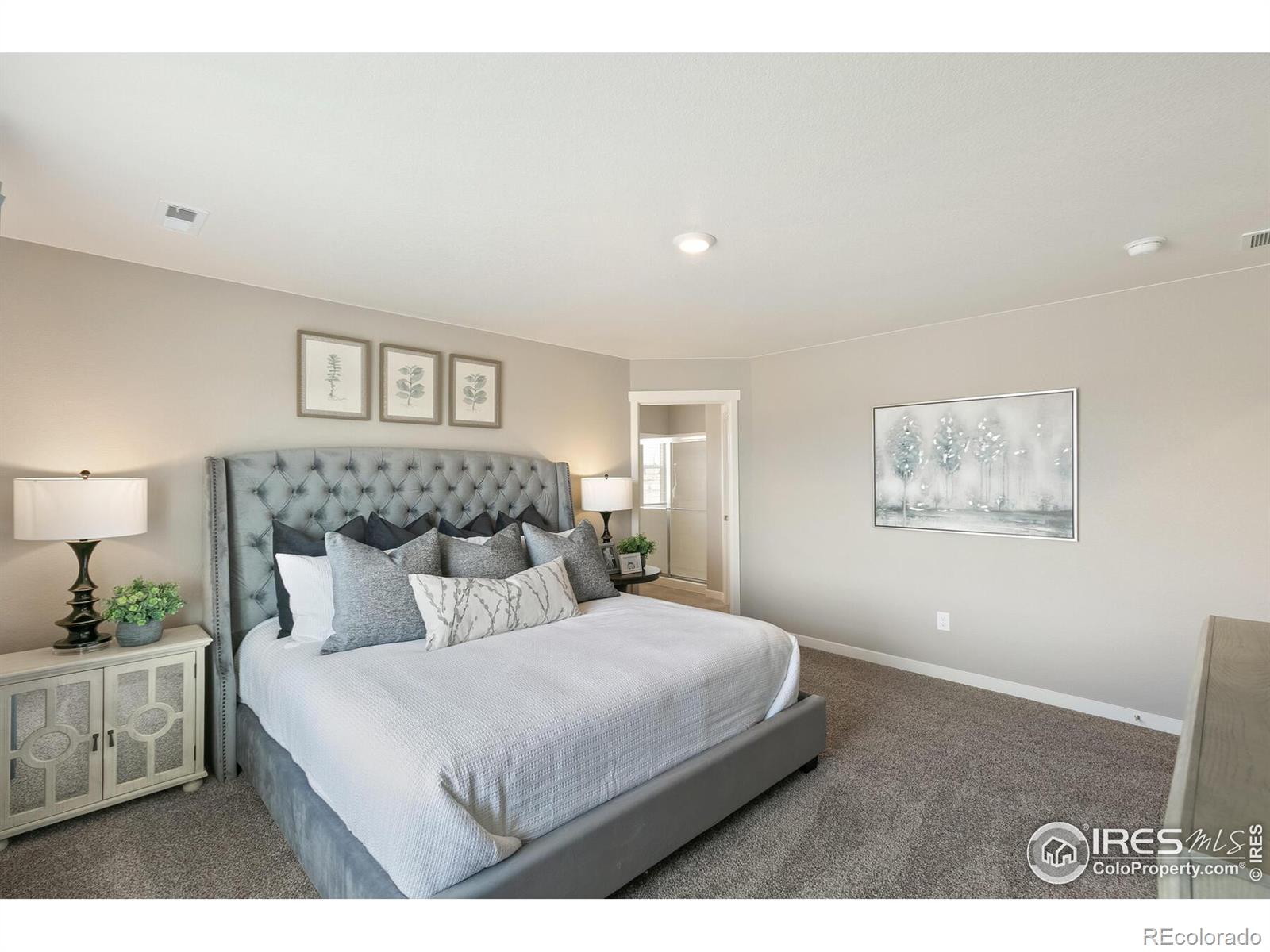 MLS Image #18 for 824  elias tarn drive,severance, Colorado