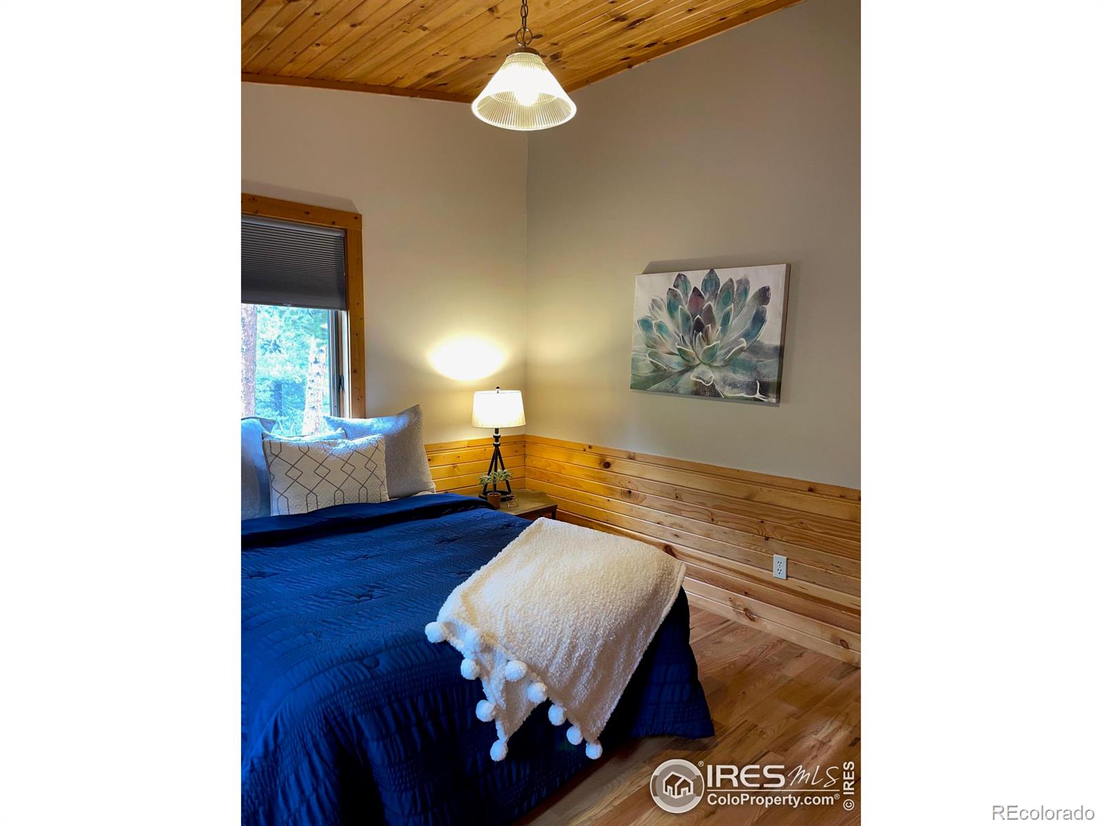 MLS Image #29 for 33 n skinner road,allenspark, Colorado