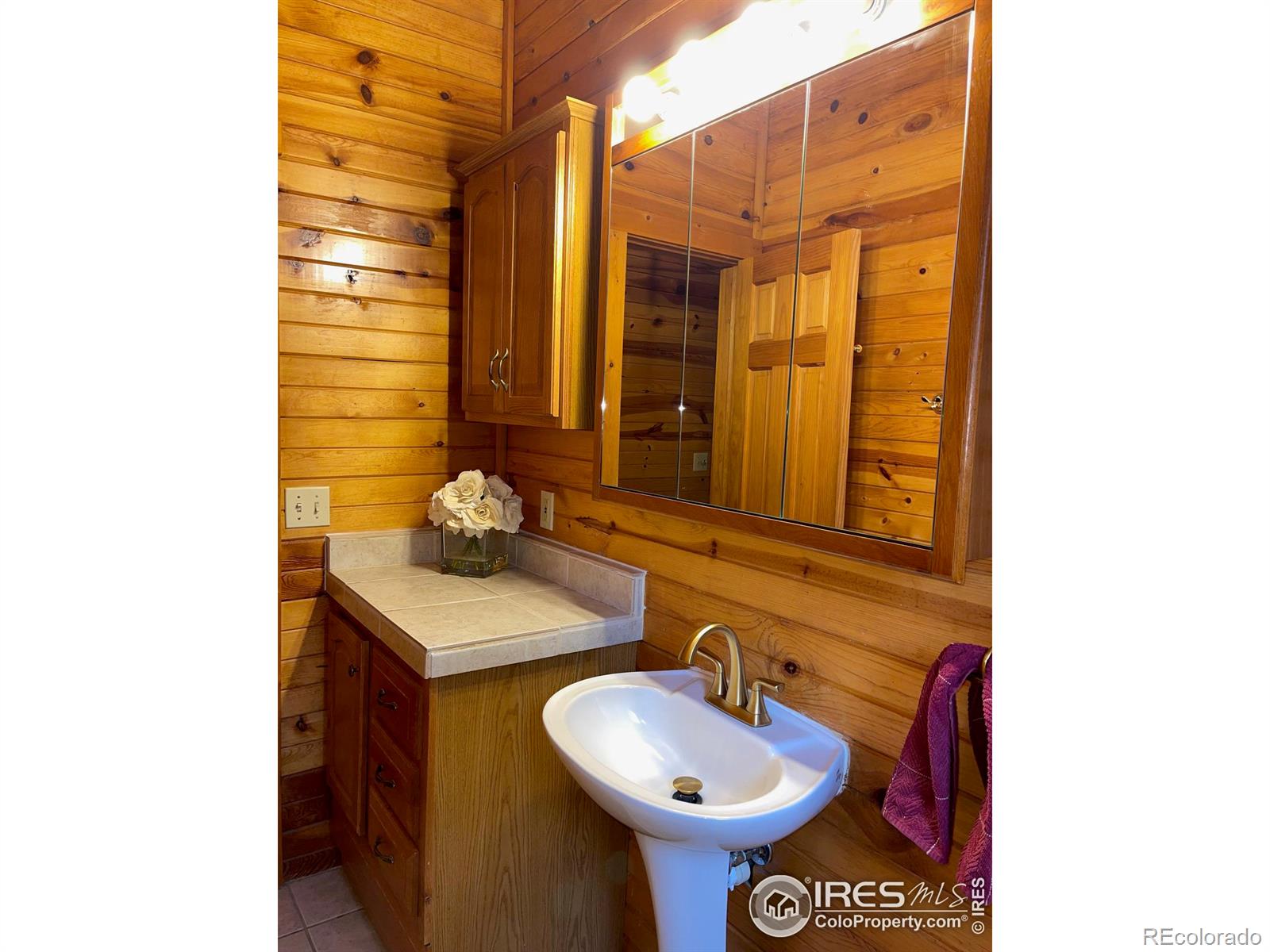 MLS Image #30 for 33 n skinner road,allenspark, Colorado