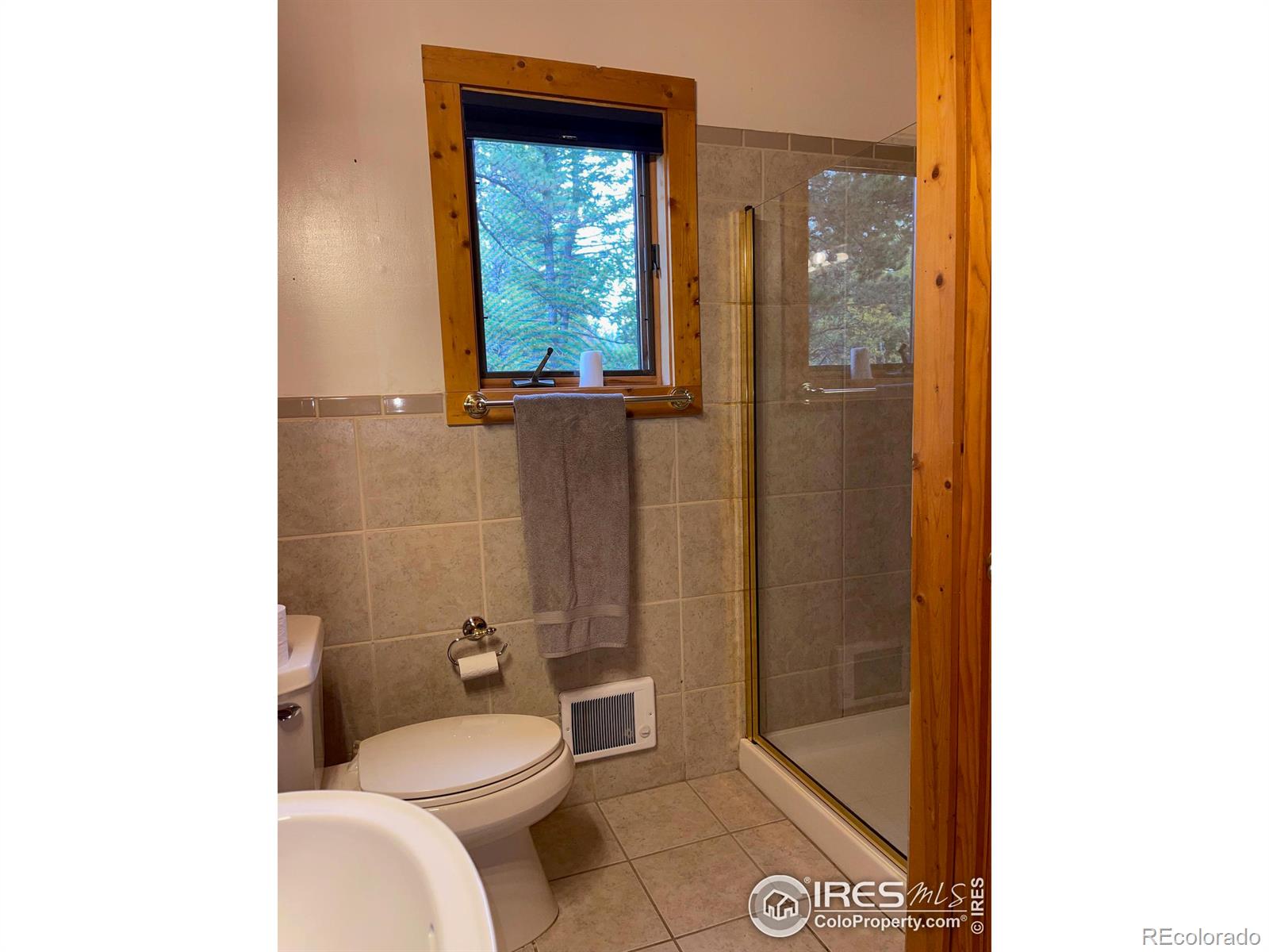 MLS Image #31 for 33 n skinner road,allenspark, Colorado