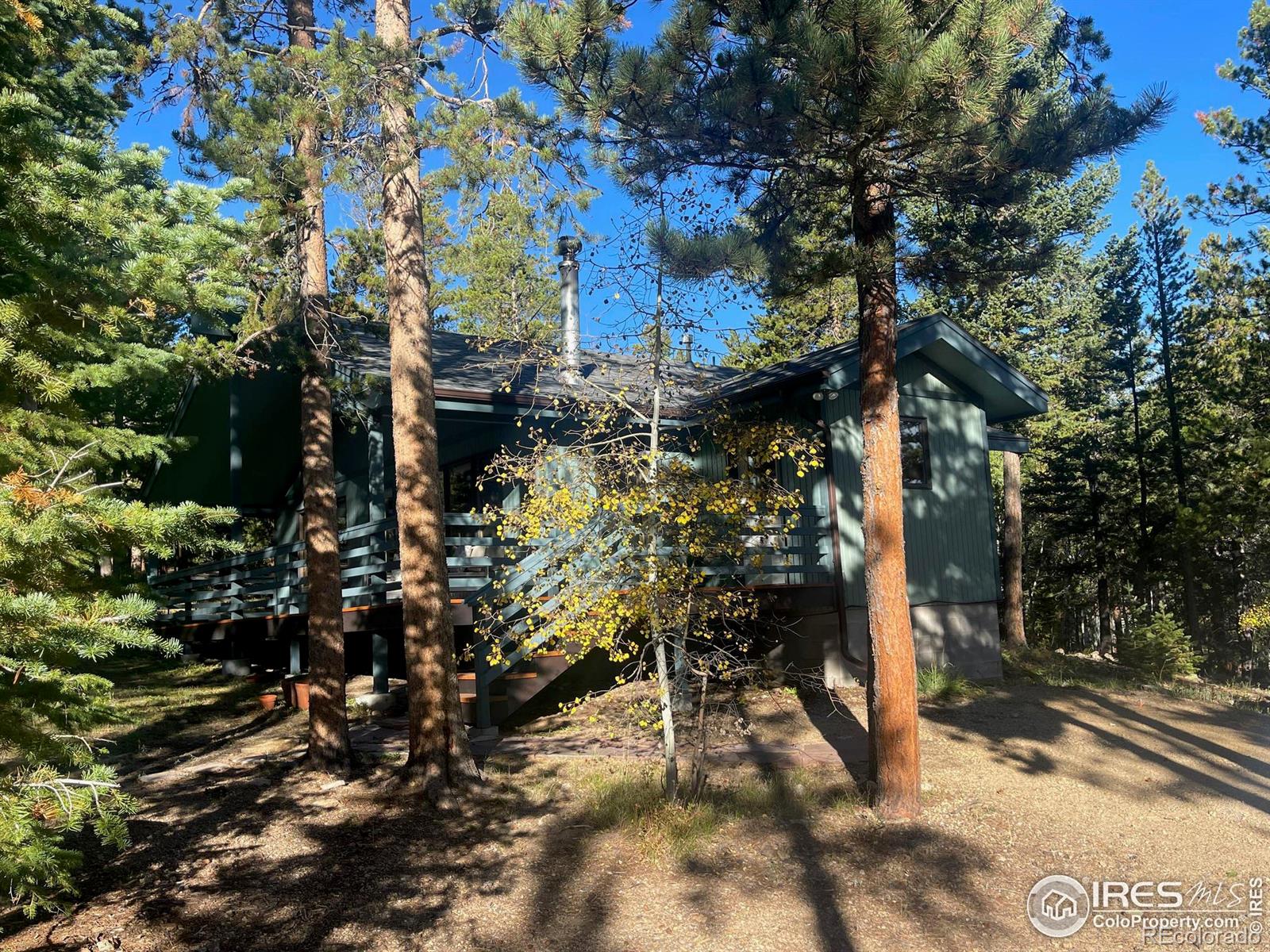 MLS Image #5 for 33 n skinner road,allenspark, Colorado