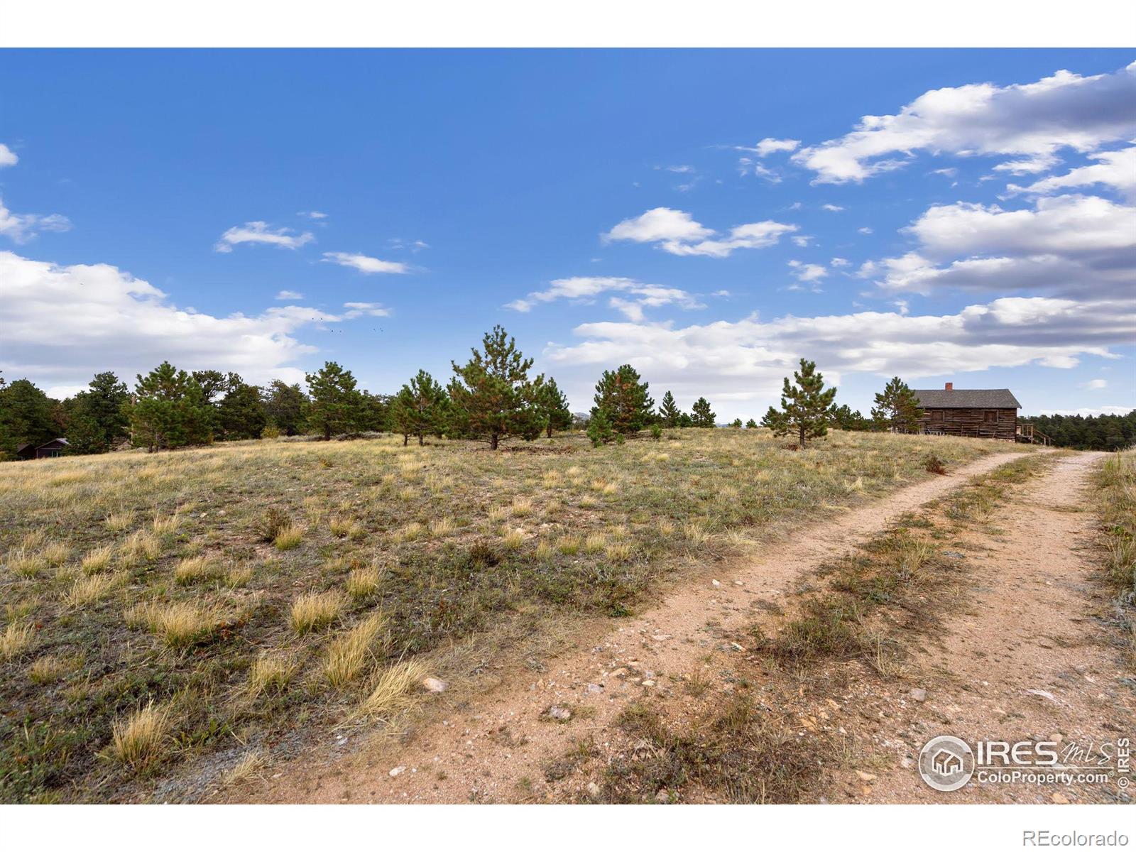 MLS Image #17 for 112 w balsam lane,red feather lakes, Colorado